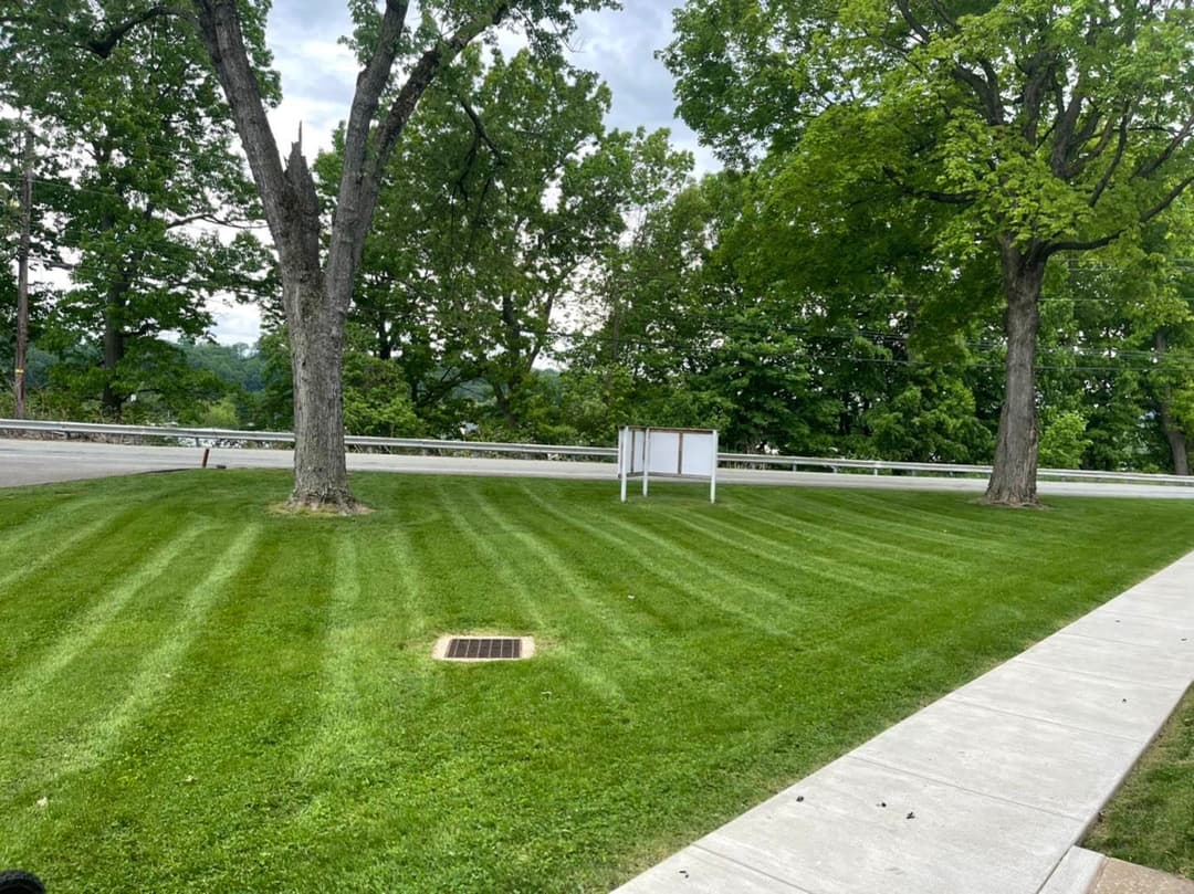 Lush green lawn with neatly mowed stripes, bordered by trees and a concrete sidewalk.