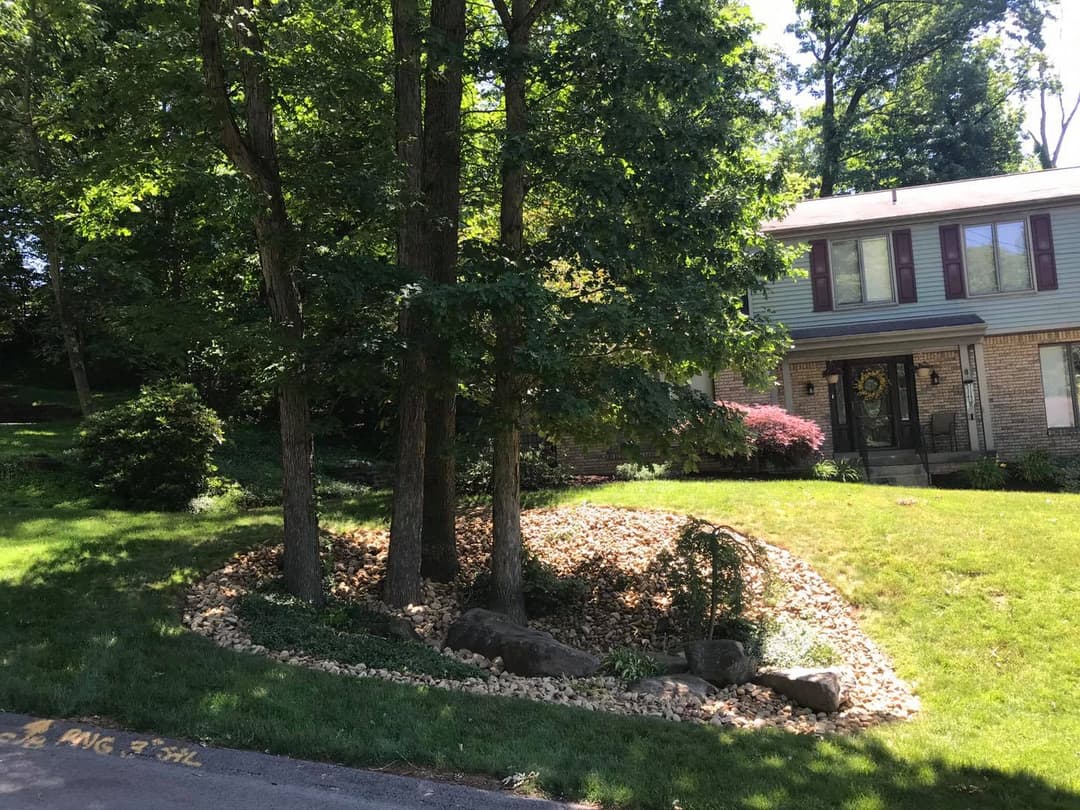 House with landscaped garden featuring trees, rocks, and vibrant shrubs in a suburban setting.