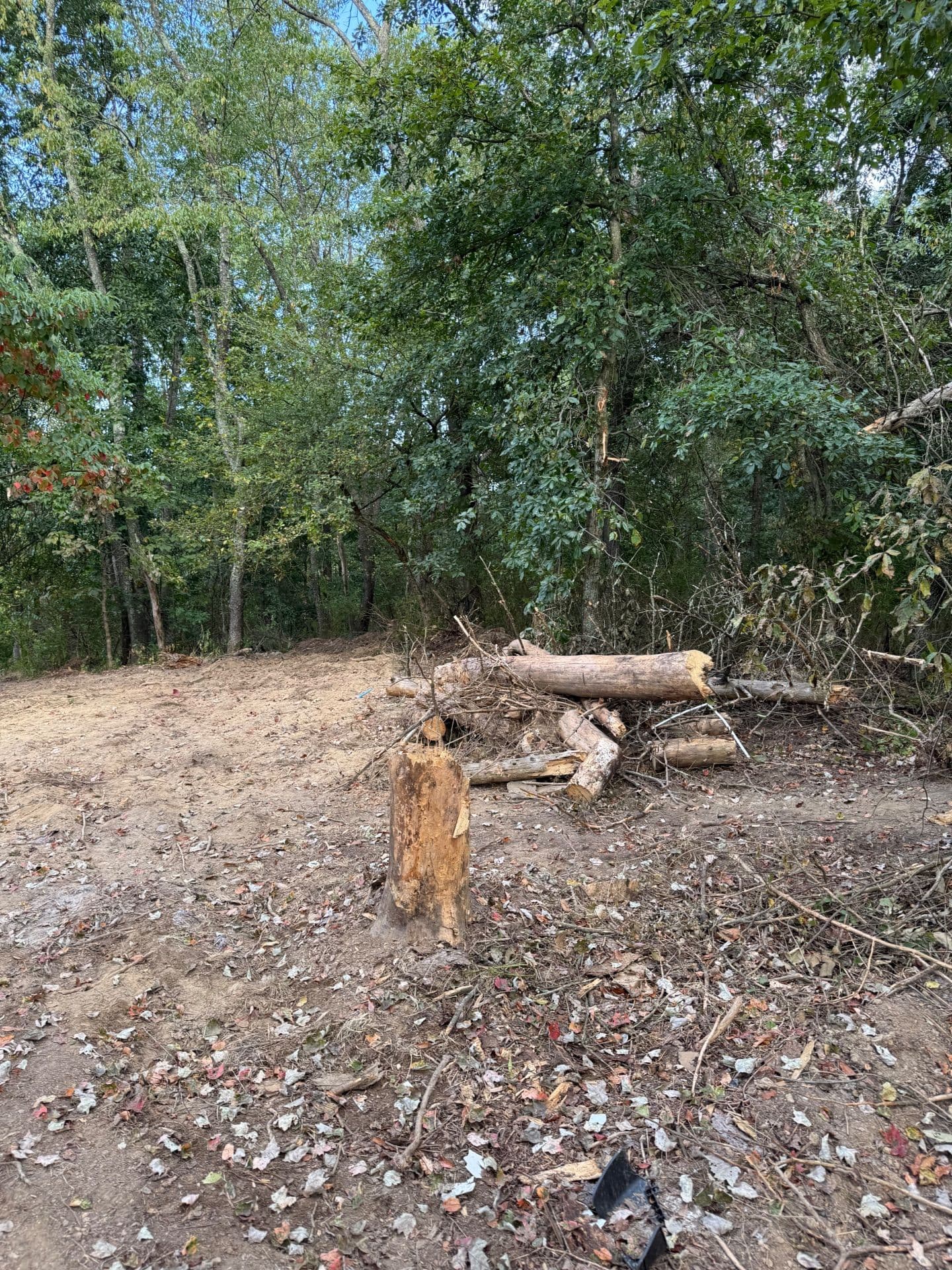 Gallery photos for Land Clearing and Site Preparation Success: Image #3