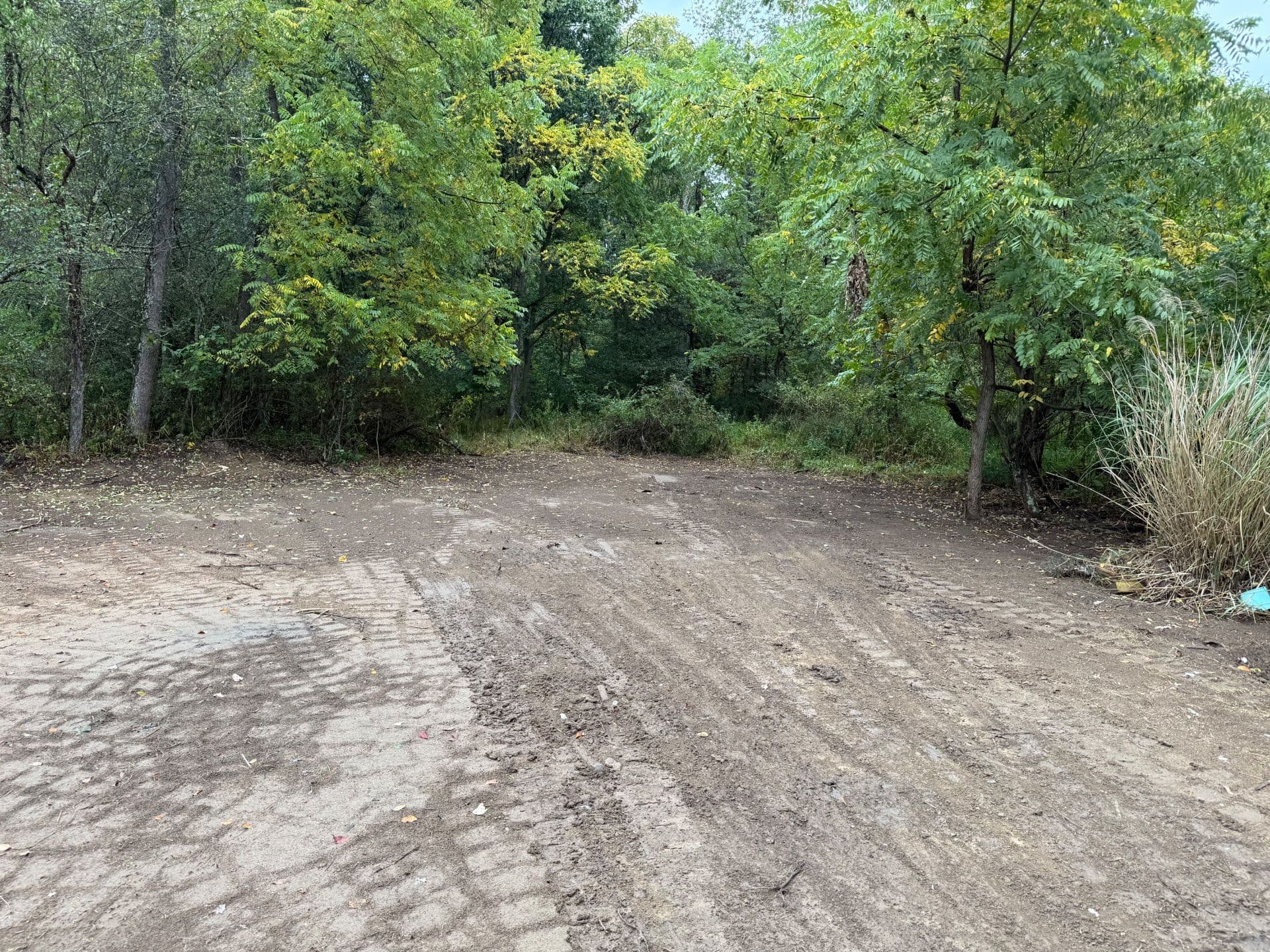 Gallery photos for Land Clearing and Site Preparation Success: Image #6
