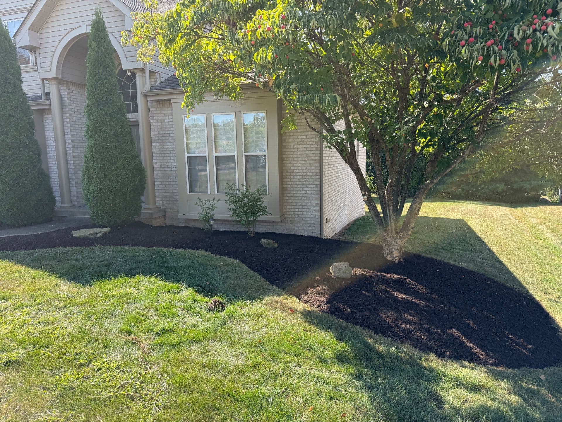 Lawn Transformation in Sarver PA