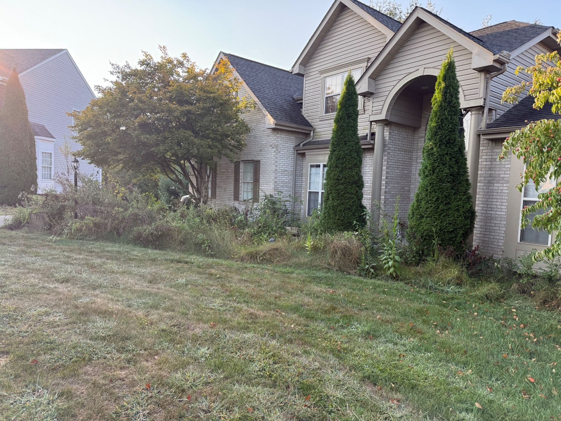 Lawn Transformation in Sarver PA