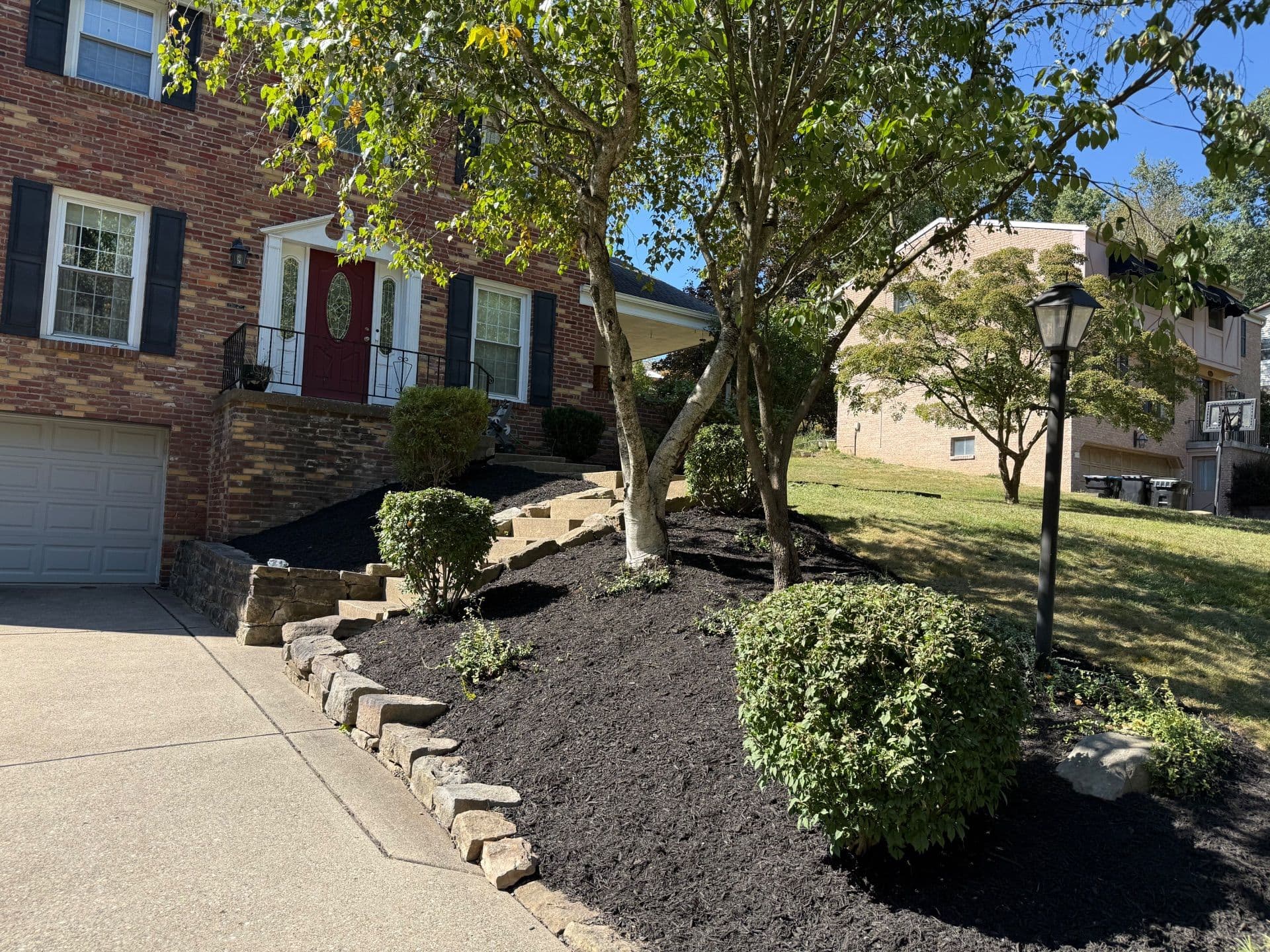 Transformative Yard Cleanup and Mulch Installation