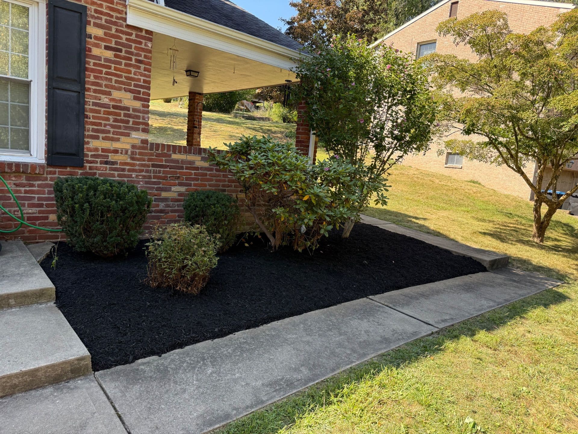 Transformative Yard Cleanup and Mulch Installation