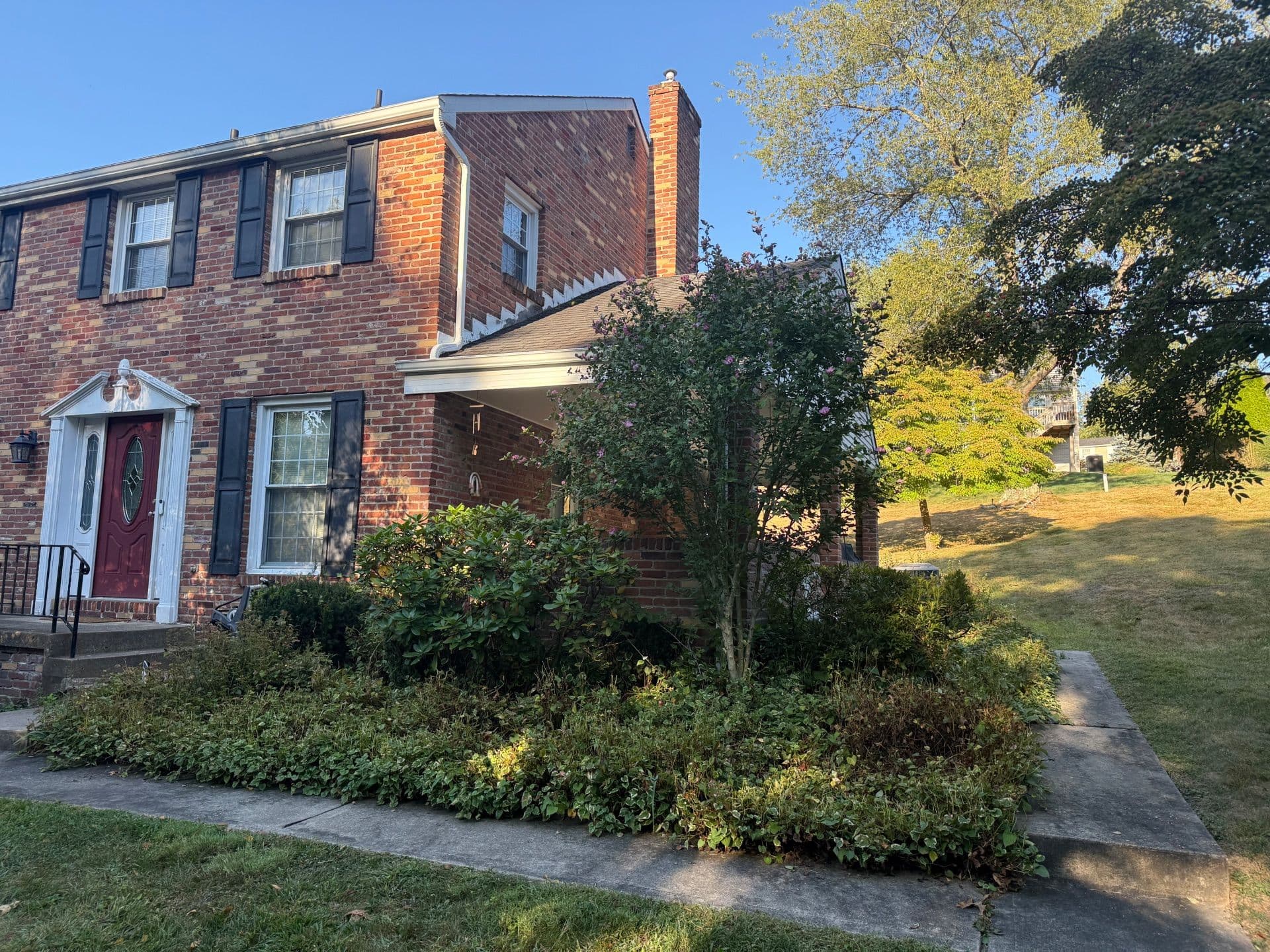Transformative Yard Cleanup and Mulch Installation