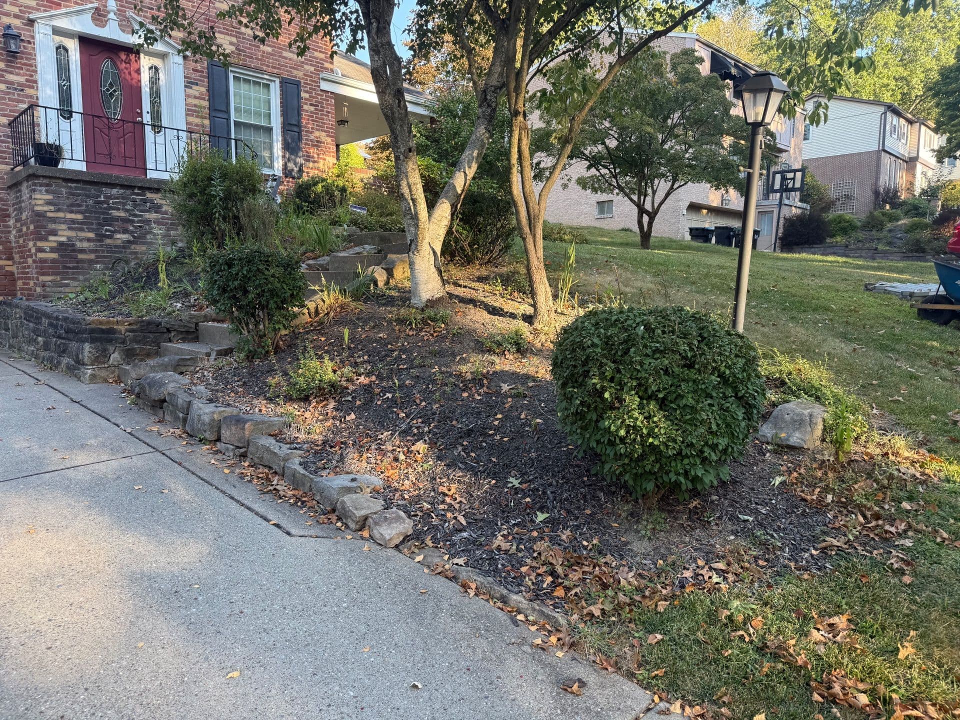 Transformative Yard Cleanup and Mulch Installation