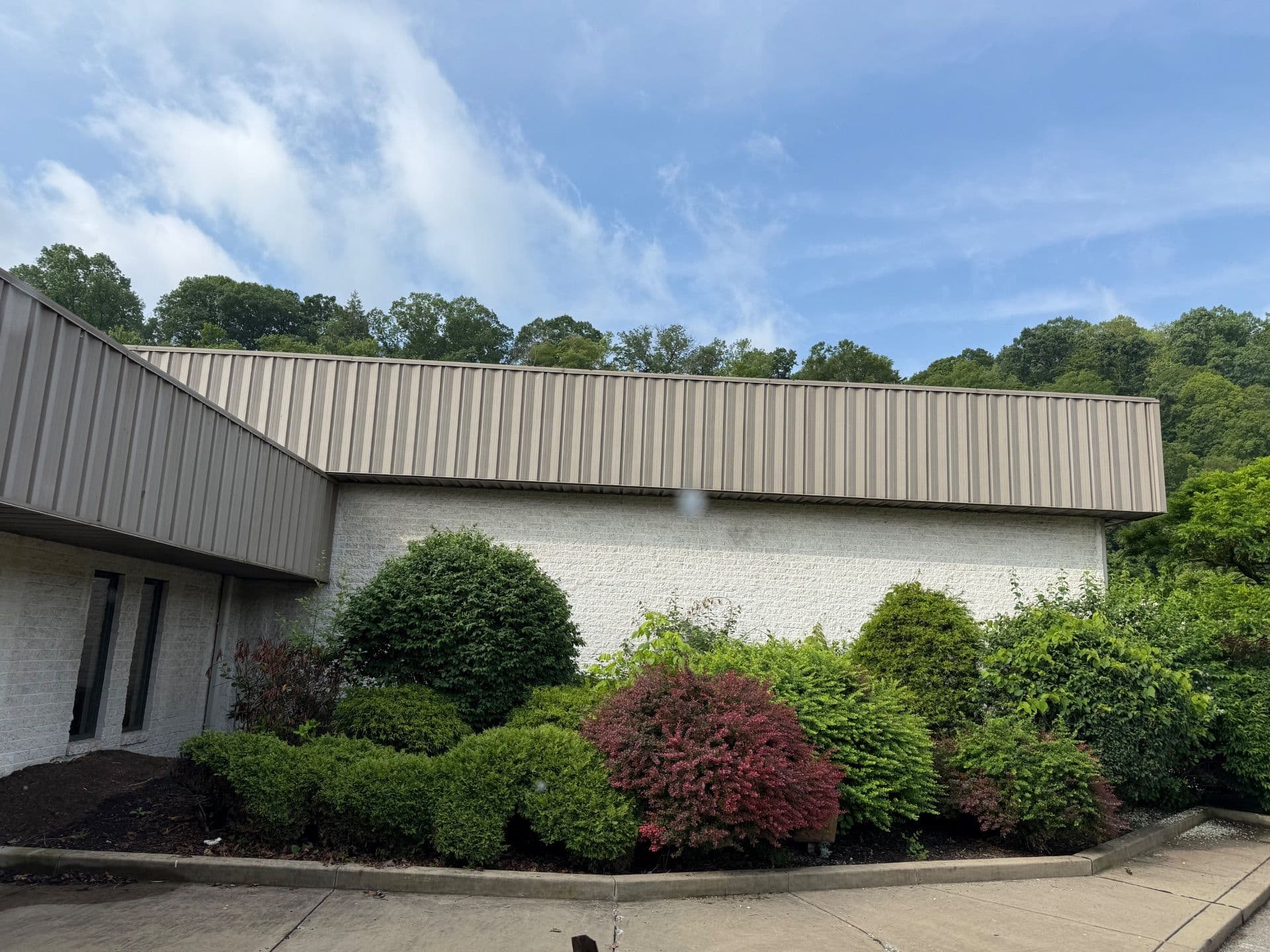 Project Stunning Commercial Space Landscape Transformation image