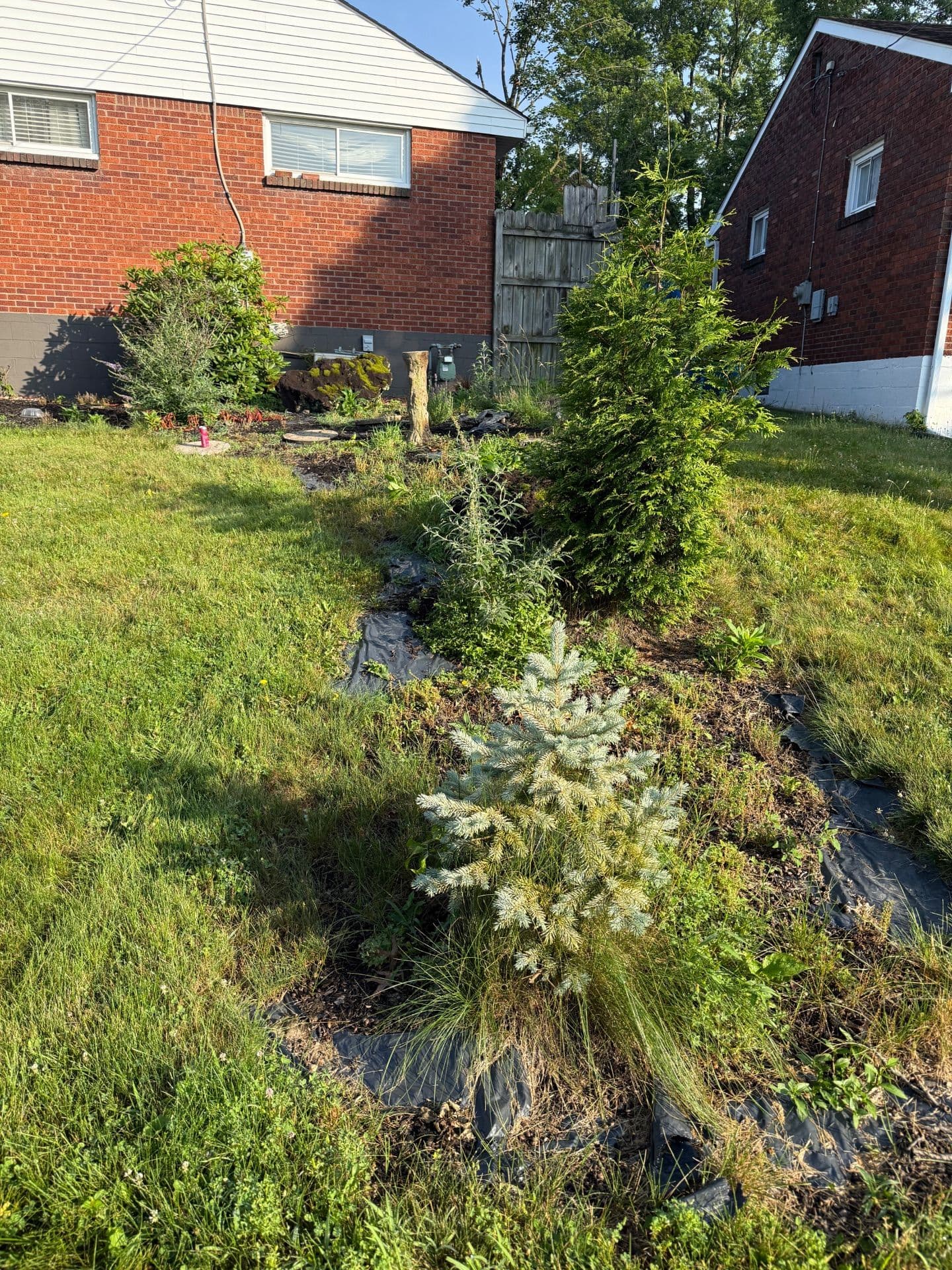 Gallery photos for Garden Glow Up with Expert Landscaping: Image #4