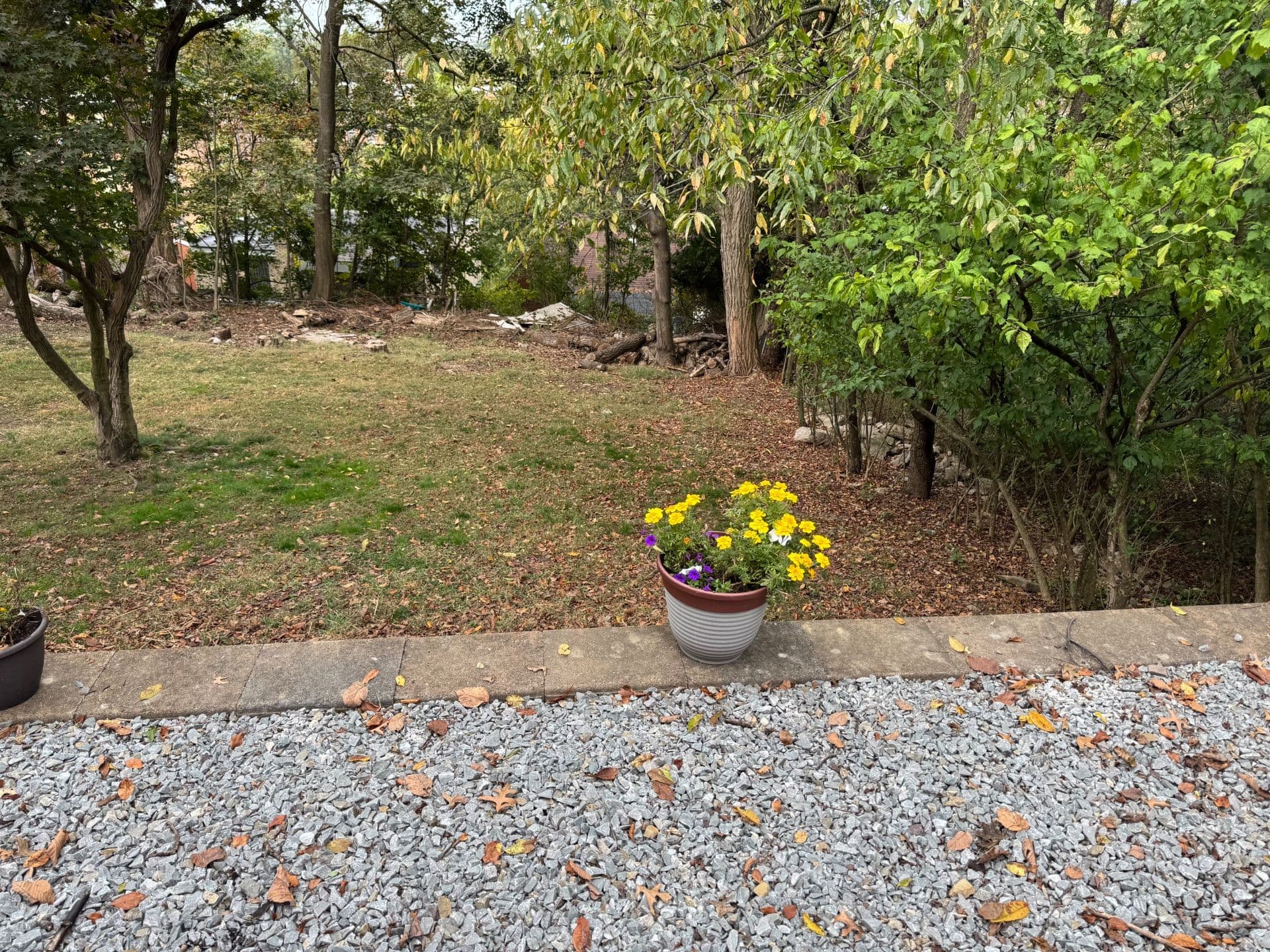 Gallery photos for Backyard Makeover with New Privacy Fence: Image #3