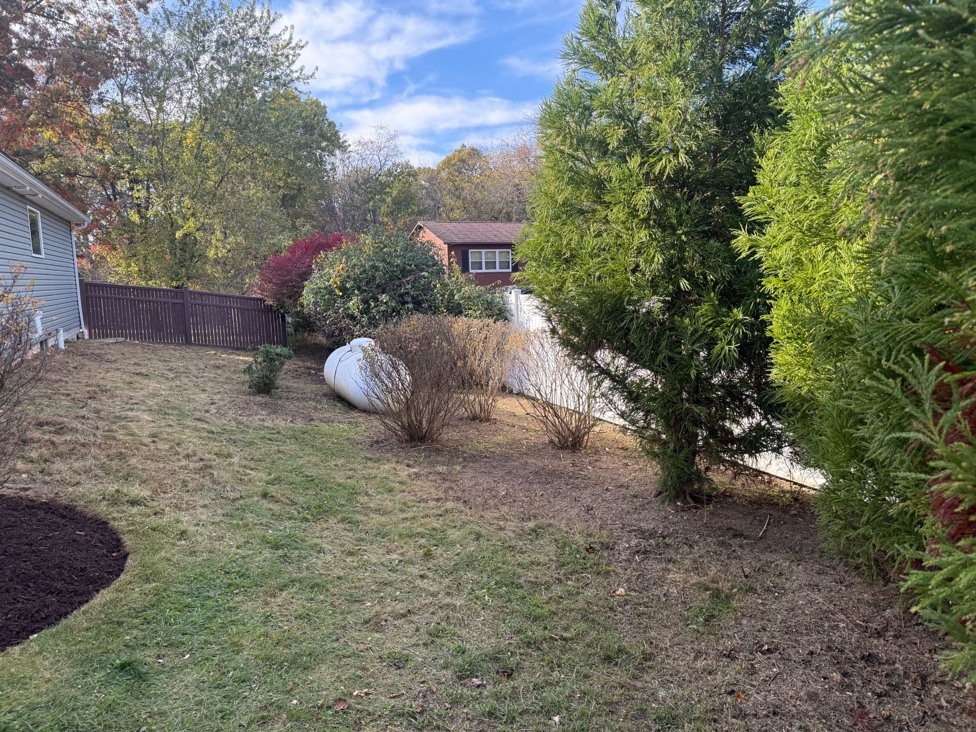 Gallery photos for Stunning Yard Cleanup and Mulch Installation: Image #1