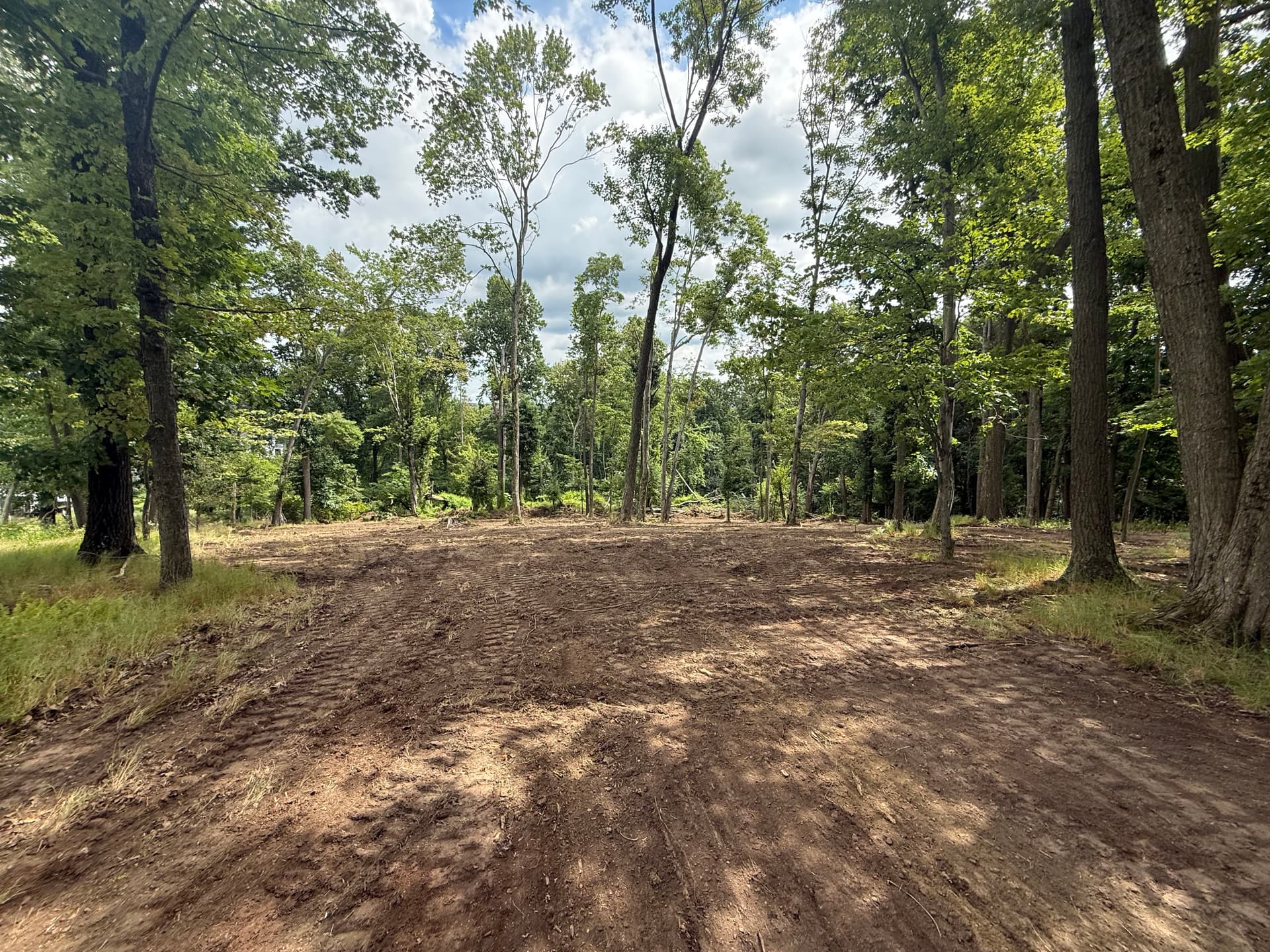 Gallery photos for Land Clearing Done Right for a Wildlife Food Plot: Image #4