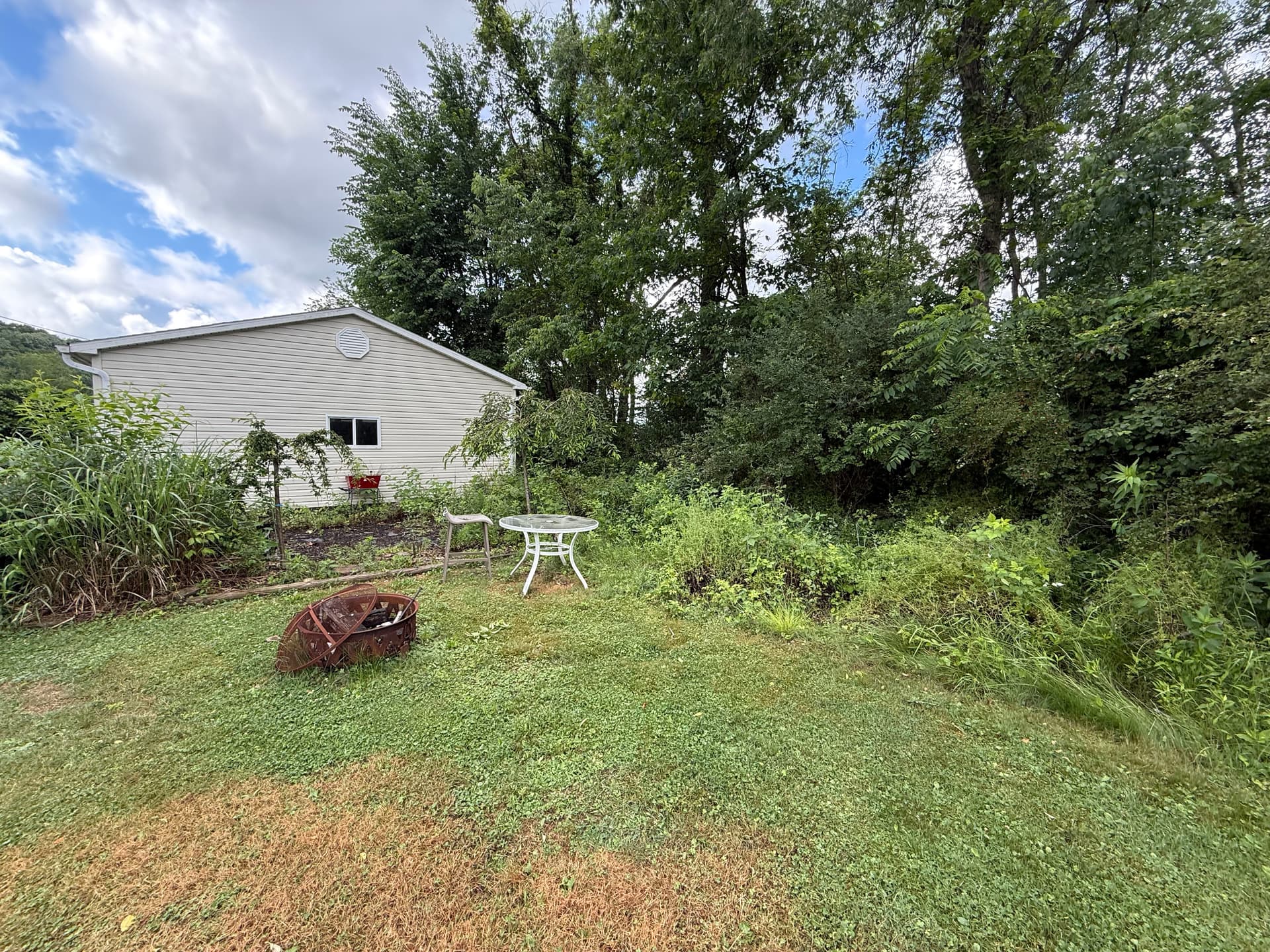 Gallery photos for Overgrown Backyard Brush Clearing Before and After: Image #3