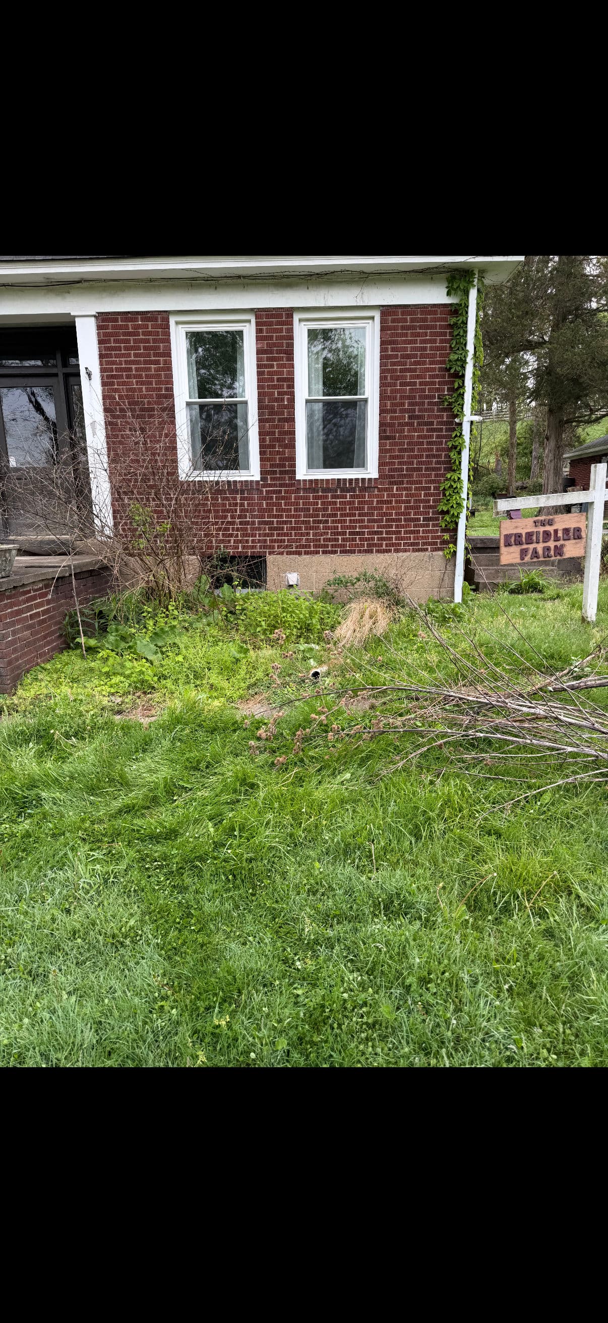 Gallery photos for Overgrown Mulch Beds Cleaned Up and Finished with Fresh Brown Mulch: Image #1