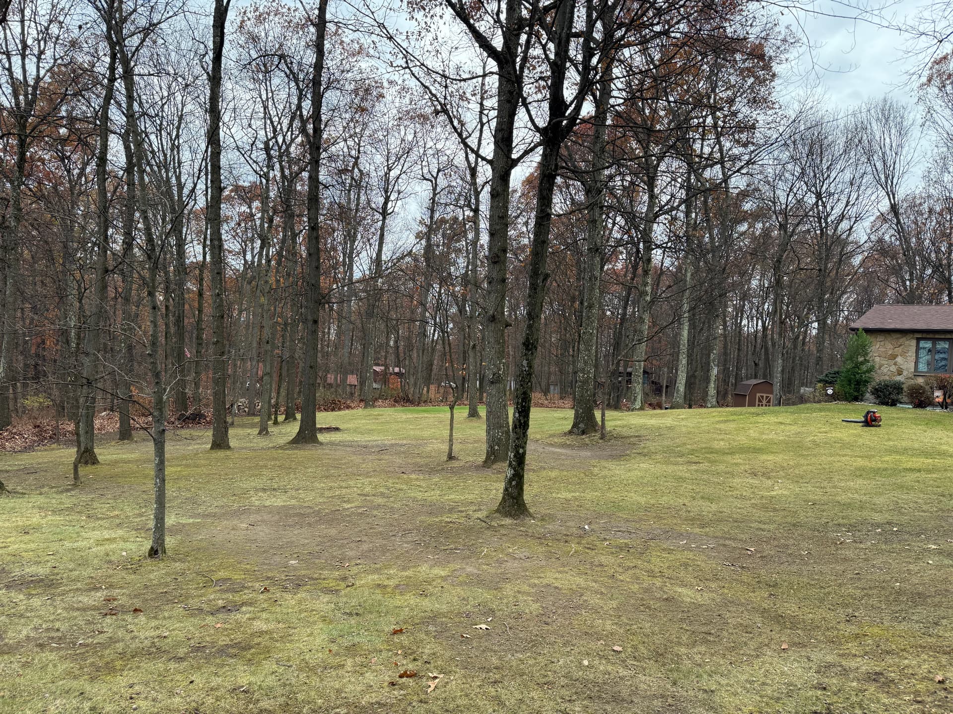 Gallery photos for Leaf Removal Made Easy: Image #1