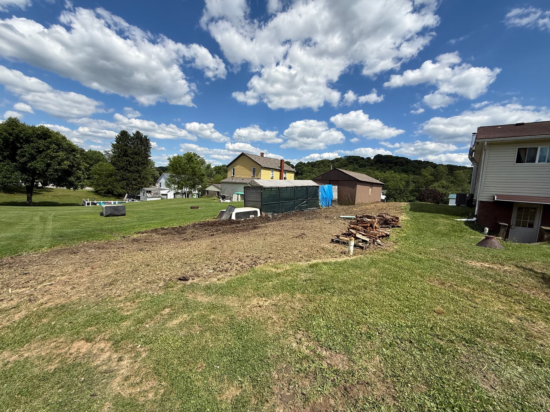 Gallery photos for Overgrown Backyard Brush Clearing Before and After: Image #7