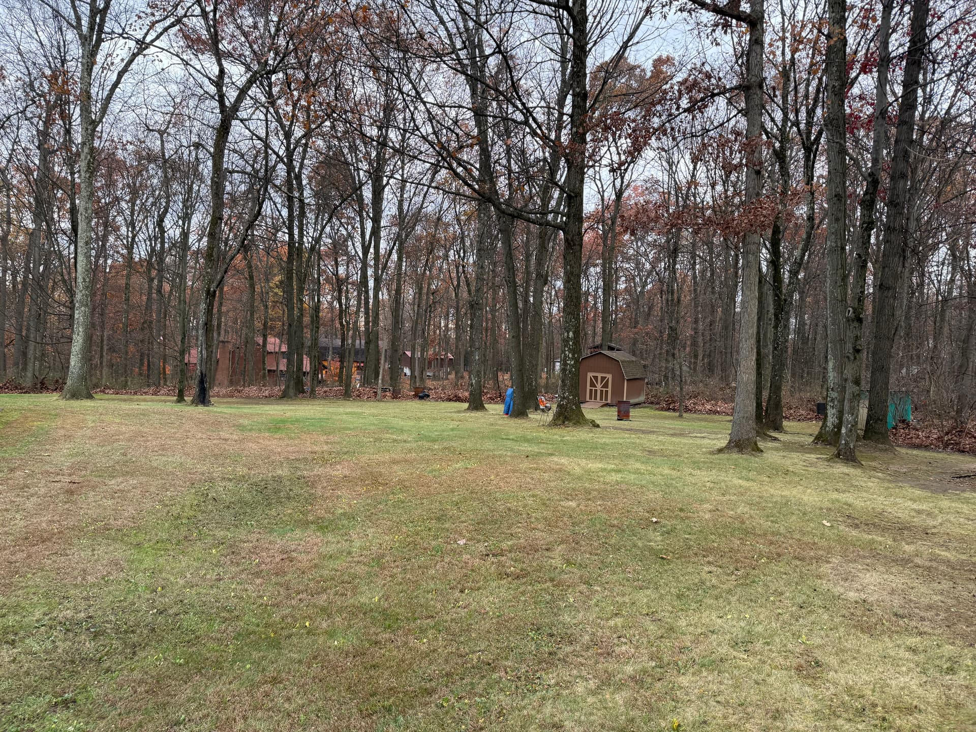 Gallery photos for Leaf Removal Made Easy: Image #3