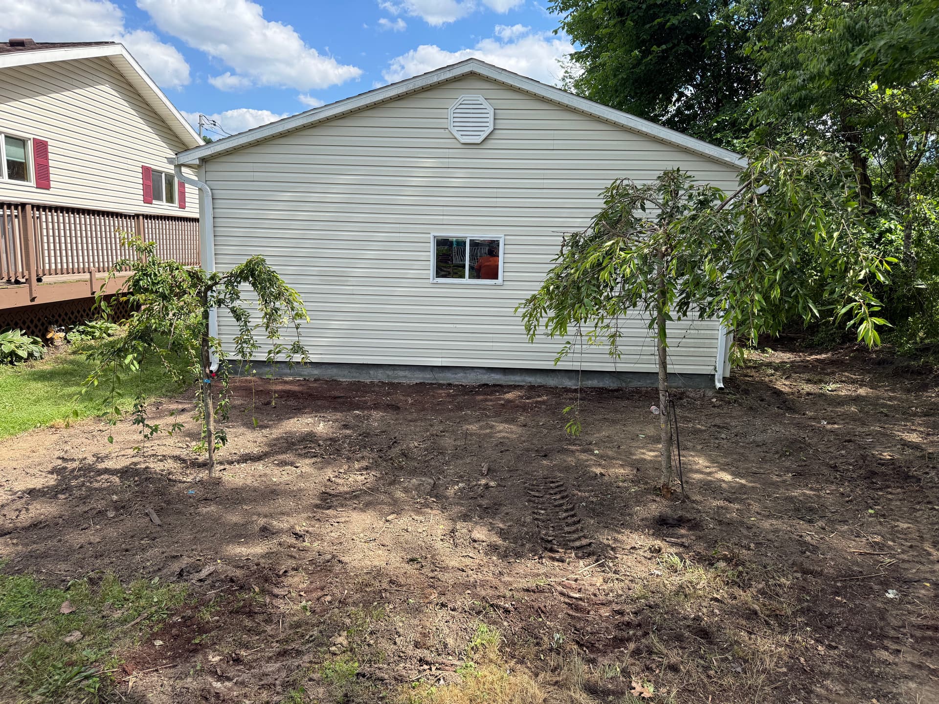 Gallery photos for Overgrown Backyard Brush Clearing Before and After: Image #5
