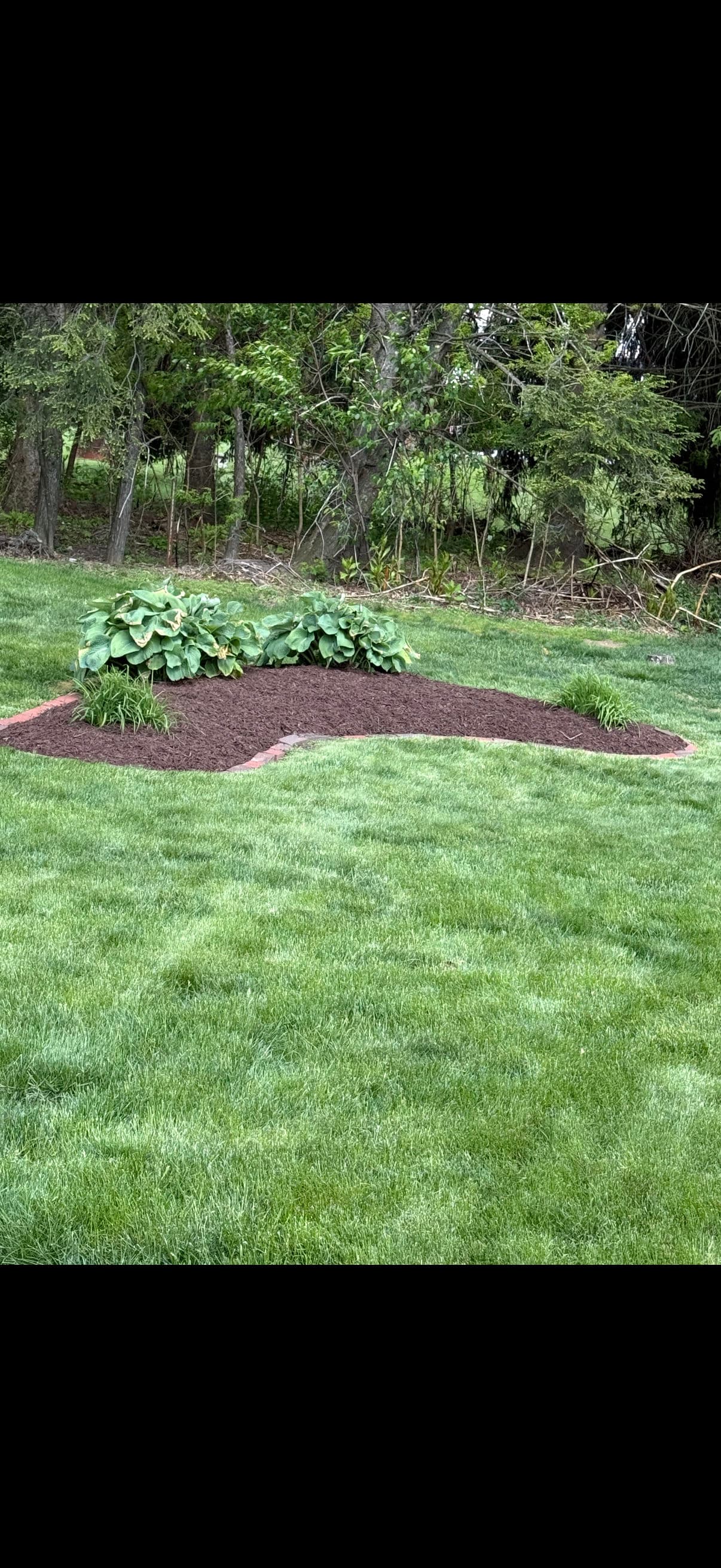 Gallery photos for Full Bed Cleanup and Cherry Brown Mulch Install Done Right: Image #2