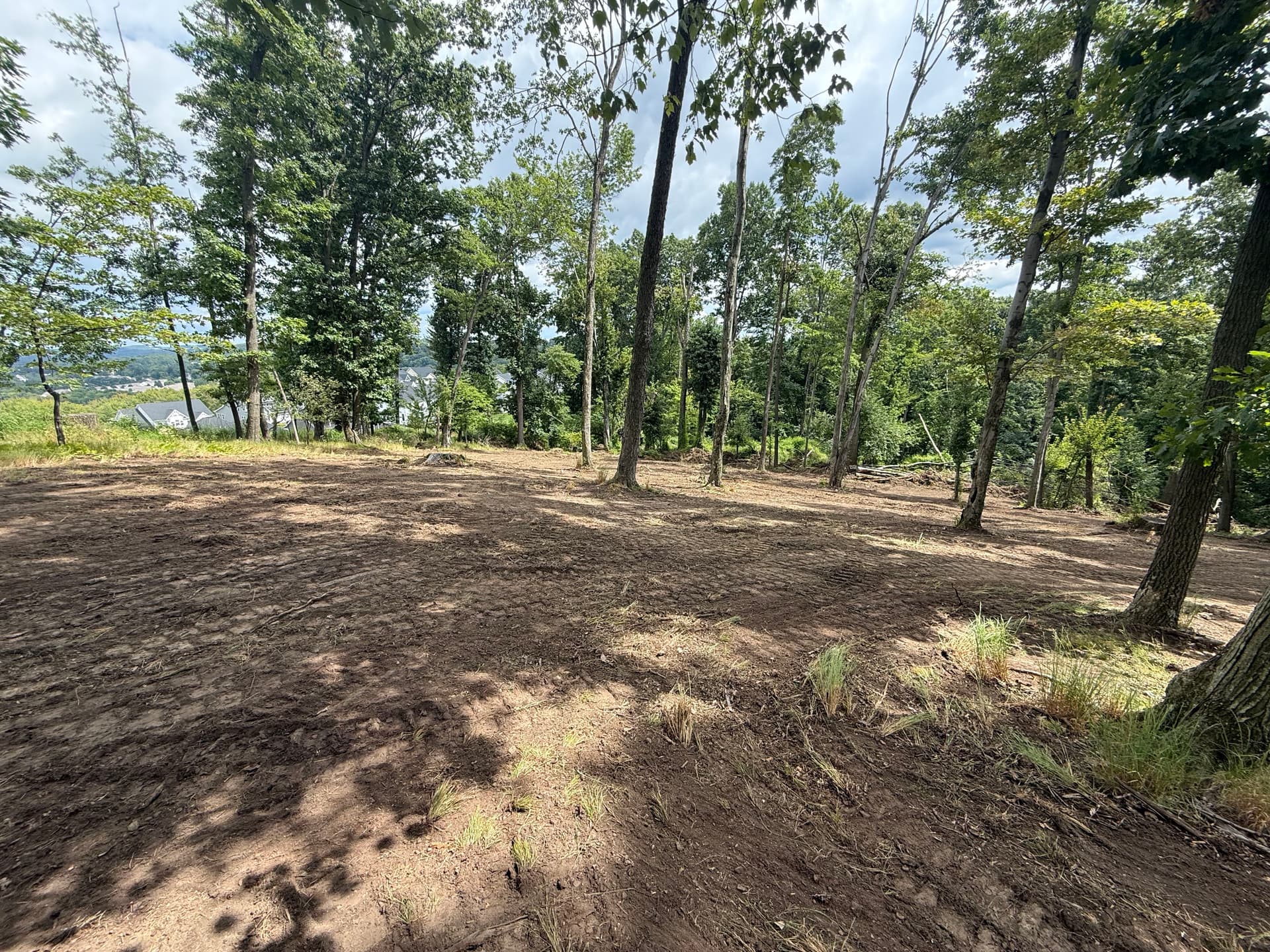 Gallery photos for Land Clearing Done Right for a Wildlife Food Plot: Image #5