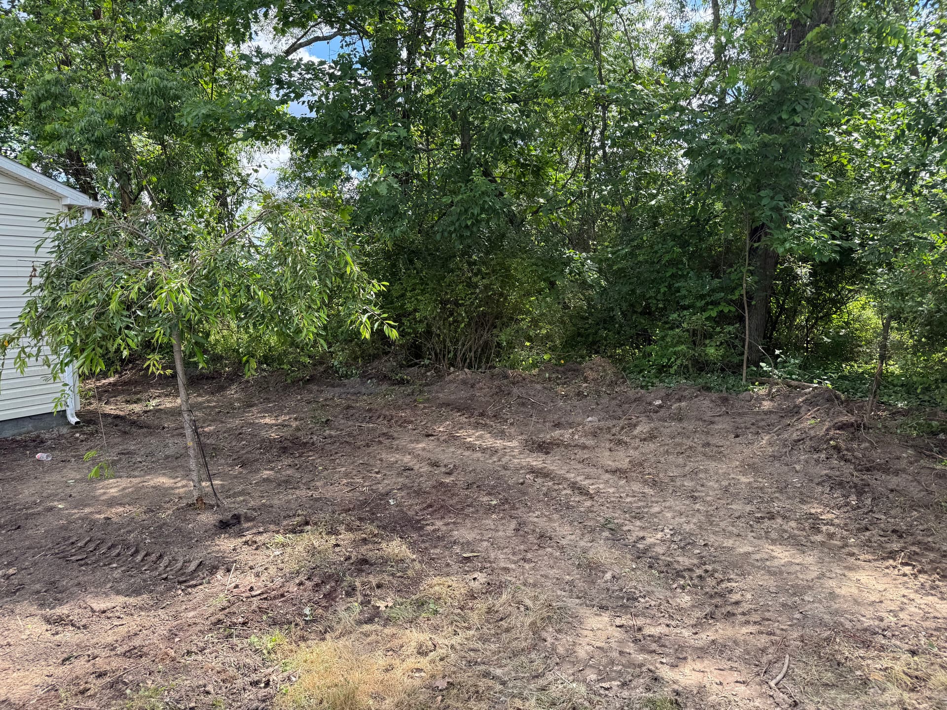 Gallery photos for Overgrown Backyard Brush Clearing Before and After: Image #6