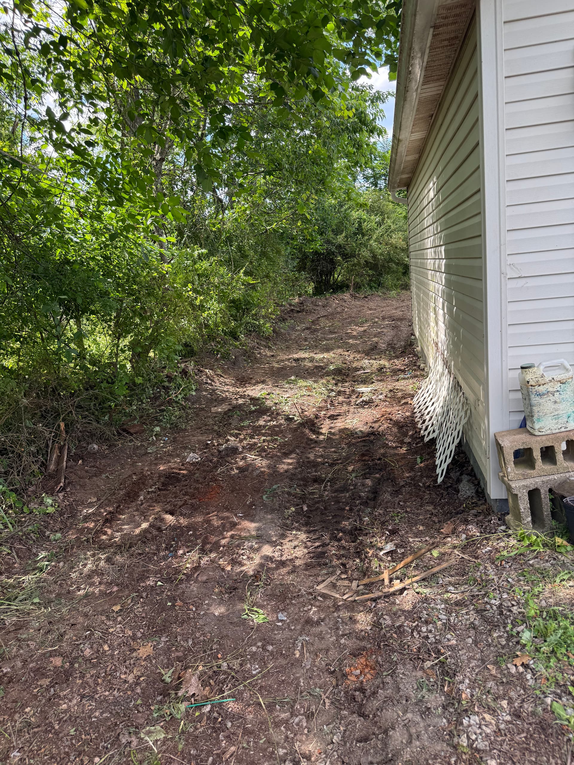 Gallery photos for Overgrown Backyard Brush Clearing Before and After: Image #2