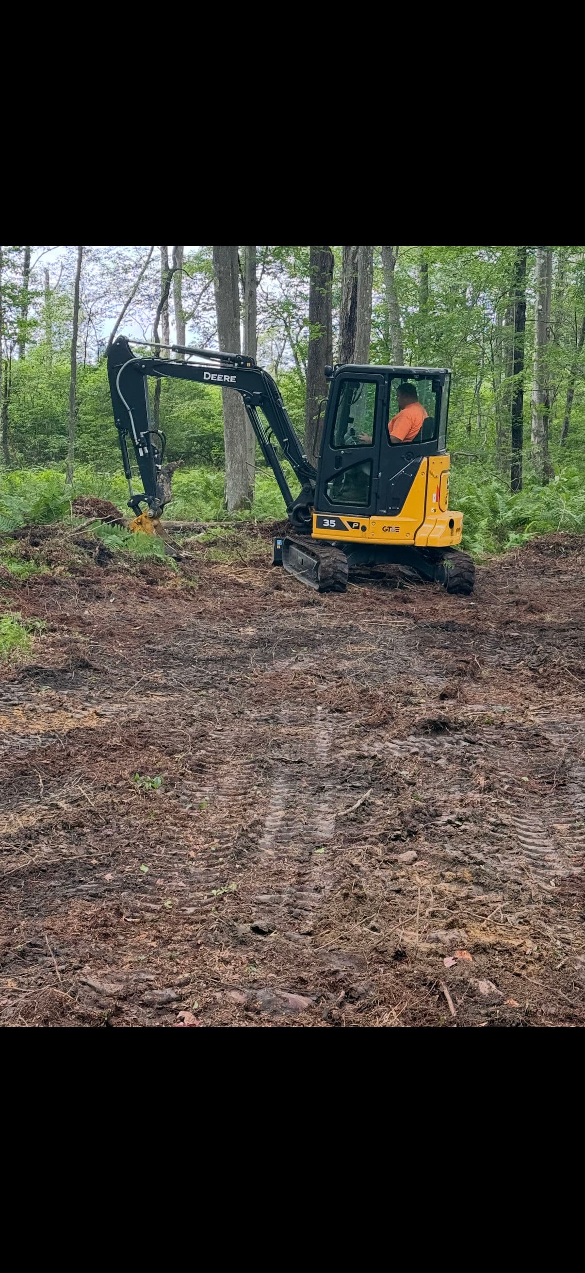 Project Land Clearing and Wildlife Food Plot Installation Done Right image