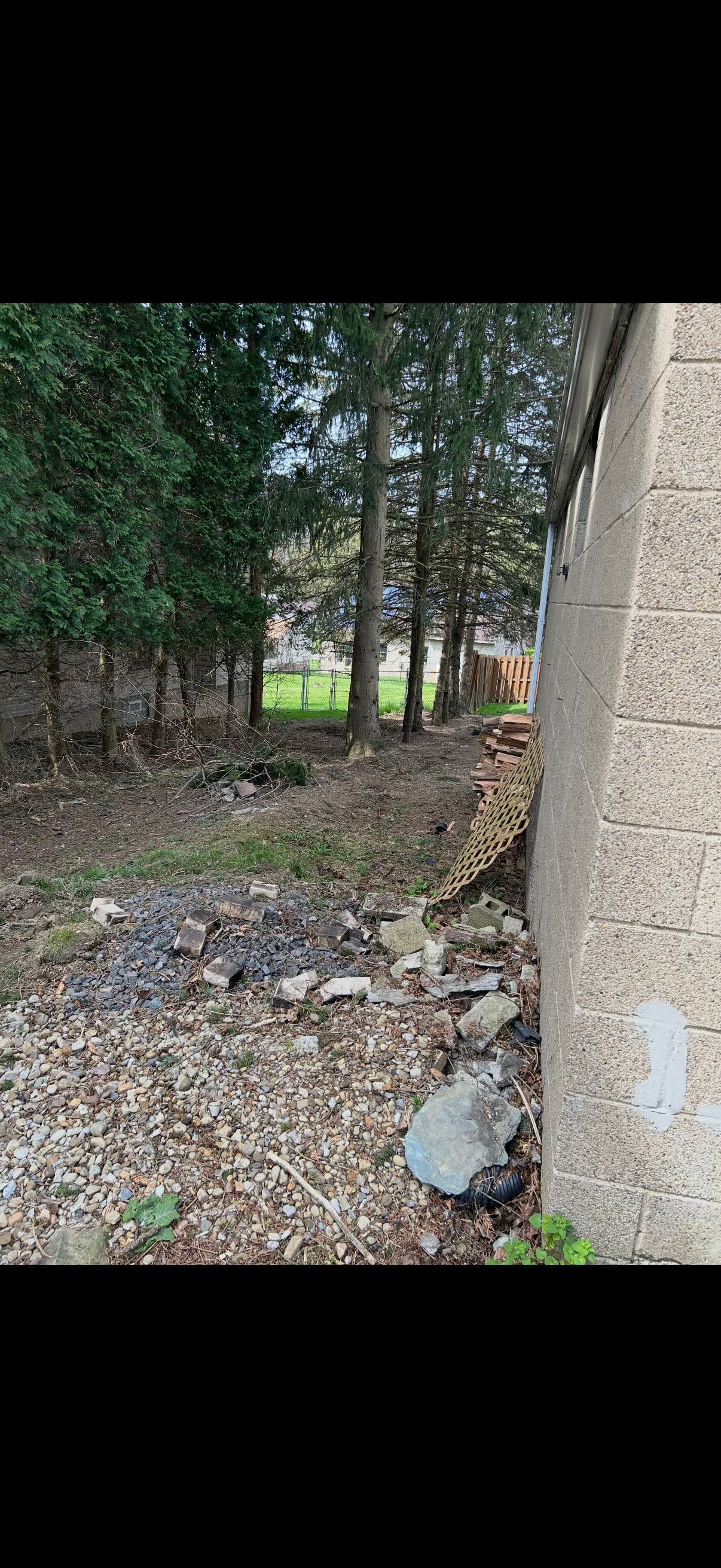 Gallery photos for Pond Removal, Lawn Installation and Extra Parking Added to Backyard: Image #4