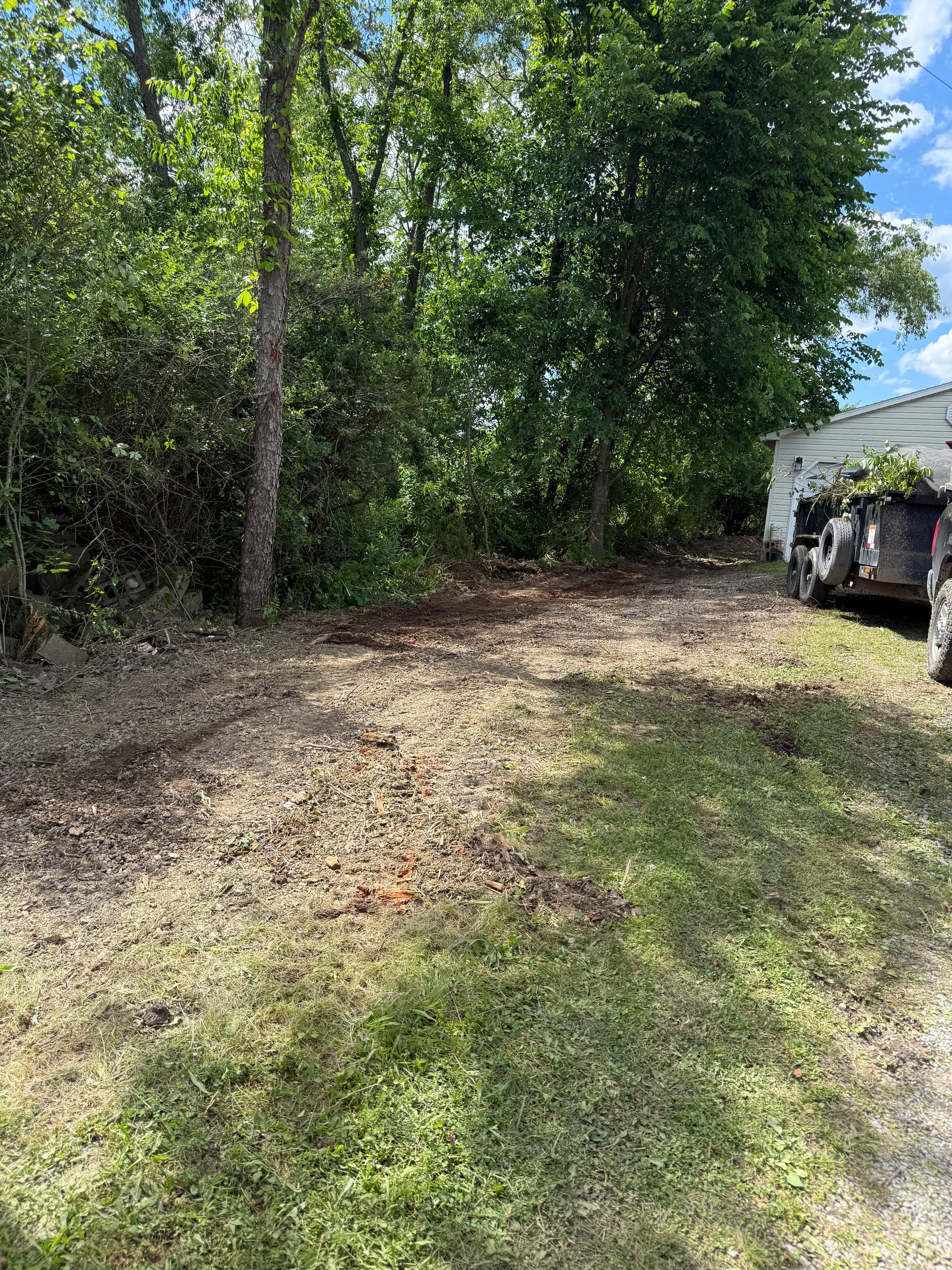 Gallery photos for Overgrown Backyard Brush Clearing Before and After: Image #1