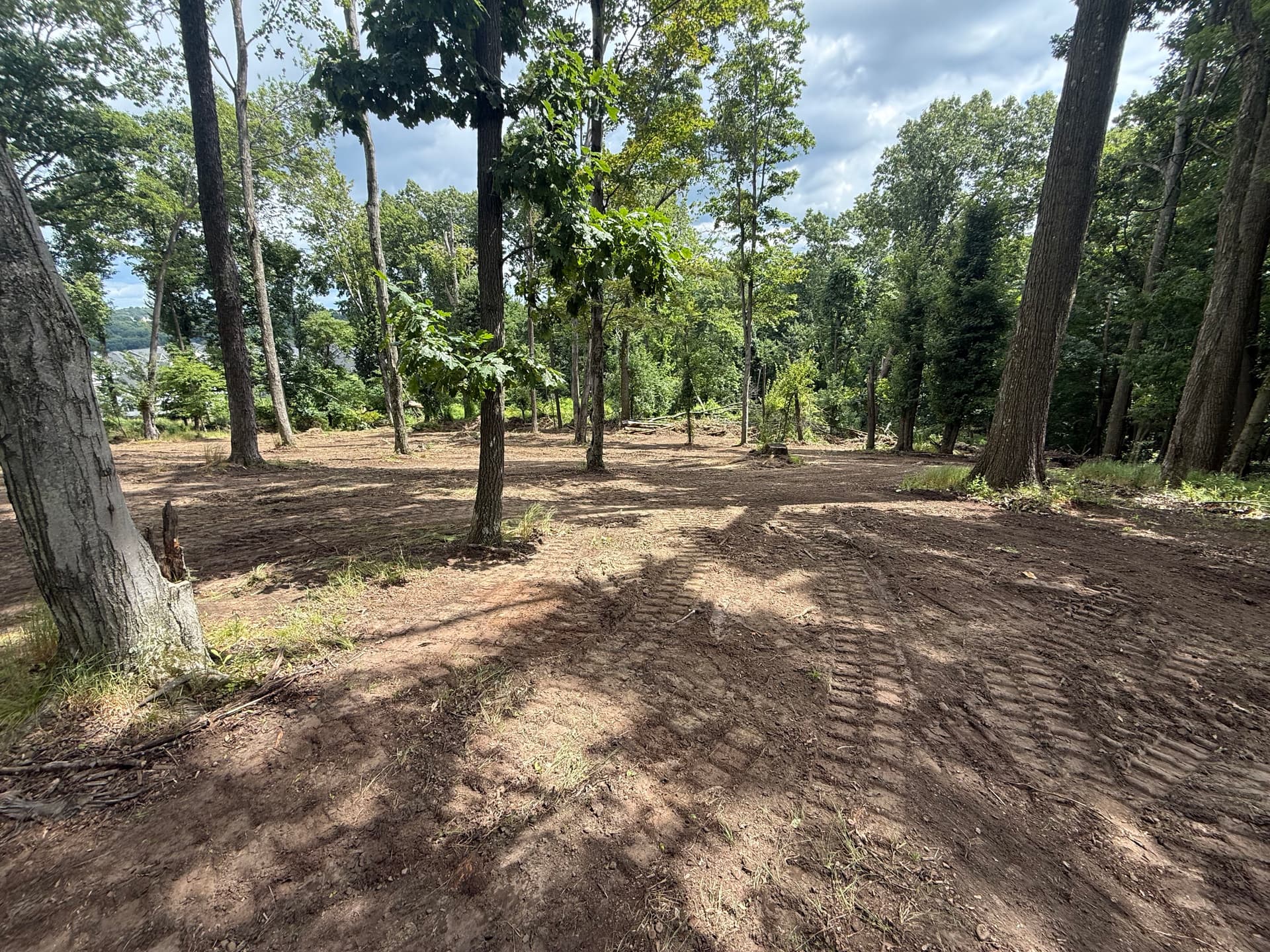 Gallery photos for Land Clearing Done Right for a Wildlife Food Plot: Image #6