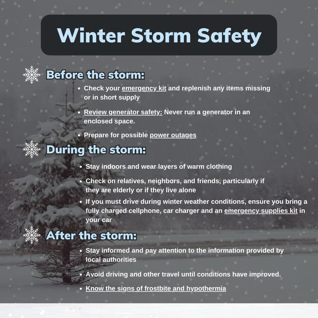 Project Prepare for Winter Storms with Total Landscaping Concepts image