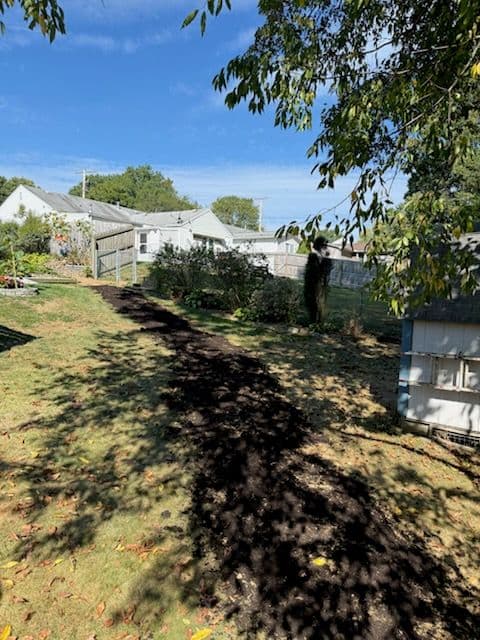 Project Effective Drainage Solutions for a Healthier Lawn image