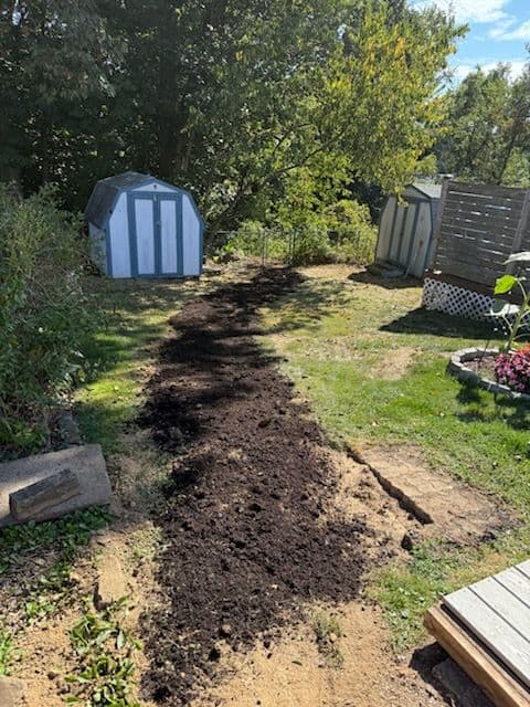 Effective Drainage Solutions for a Healthier Lawn
