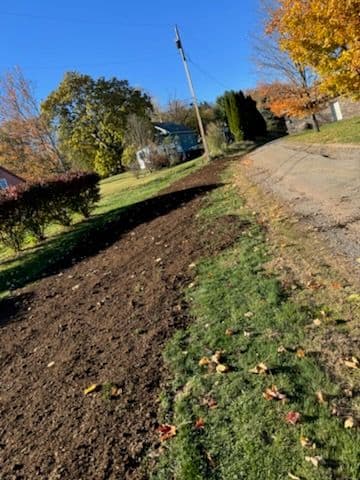 Bringing Life Back to Your Lawn