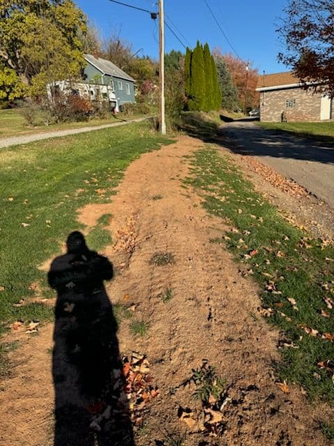 Gallery photos for Bringing Life Back to Your Lawn: Image #2