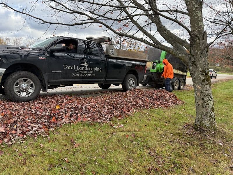 Leaf Removal and Cleanup Services