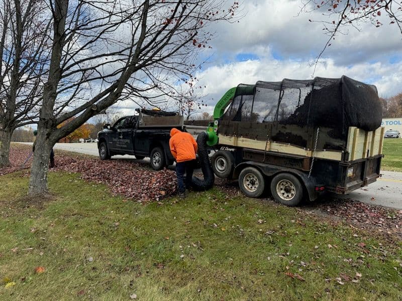 Gallery photos for Leaf Removal and Cleanup Services: Image #1