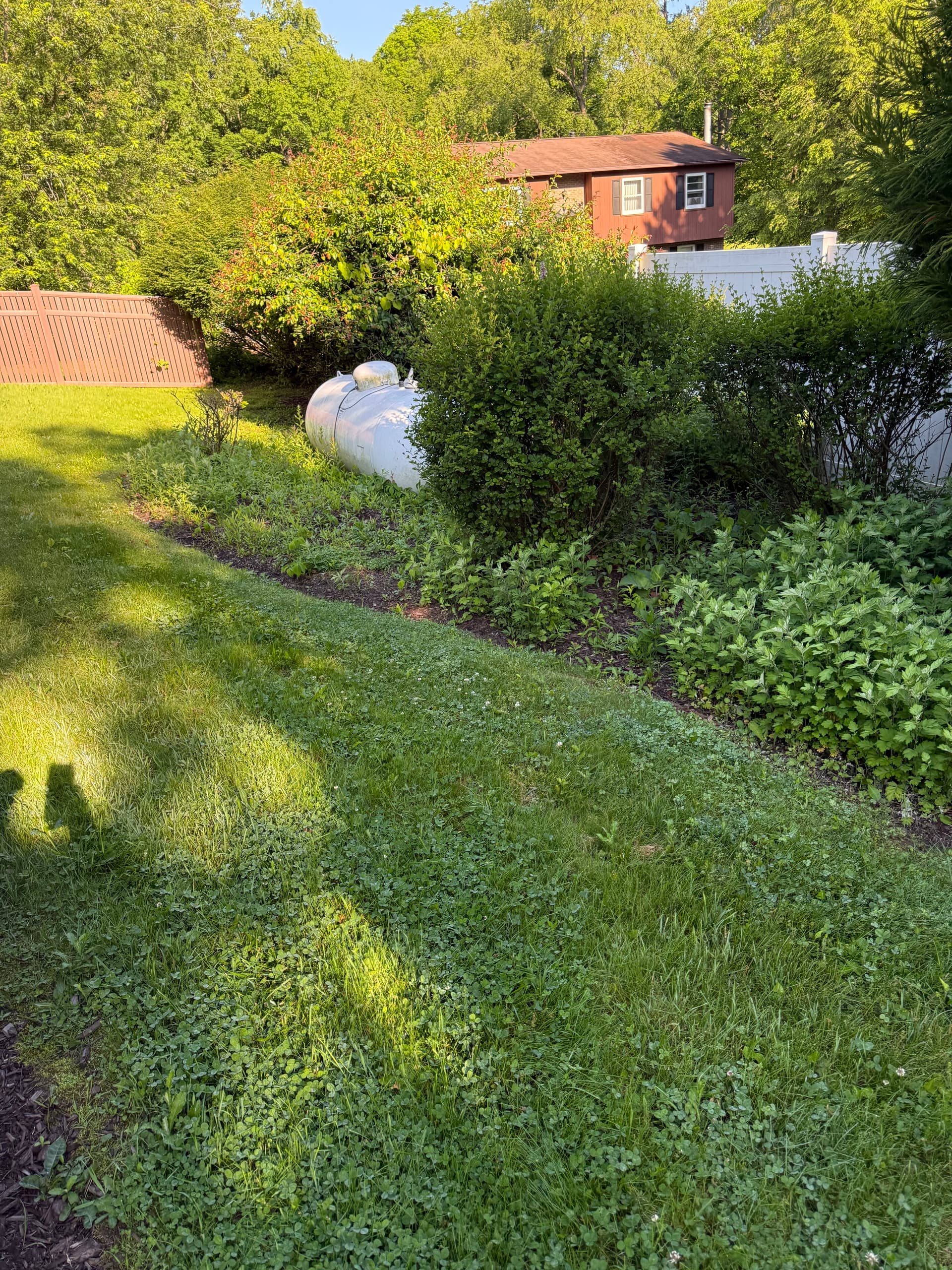 Gallery photos for Fresh Mulch, Clean Beds, and a New Tree That Ties It All Together: Image #5