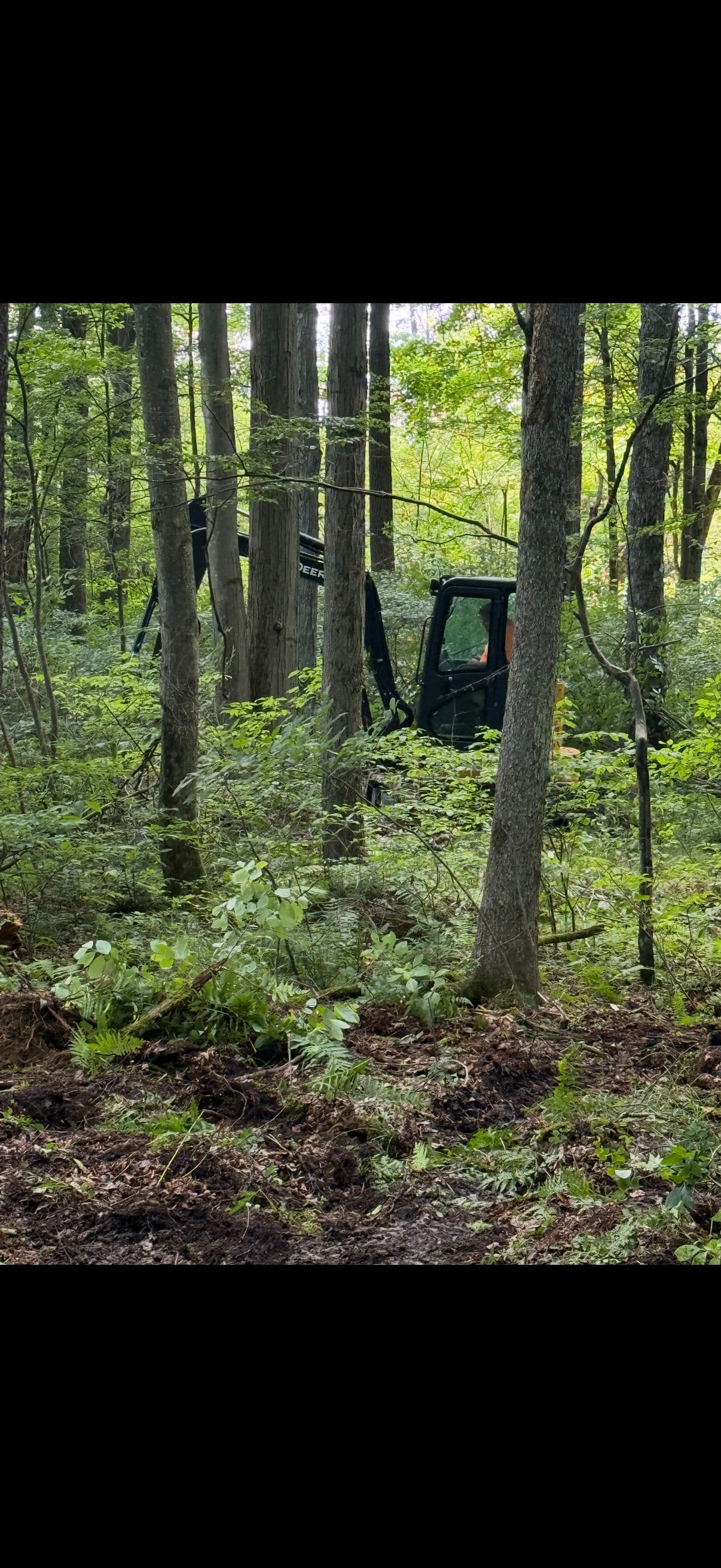 Gallery photos for Land Clearing and Wildlife Food Plot Installation Done Right: Image #3