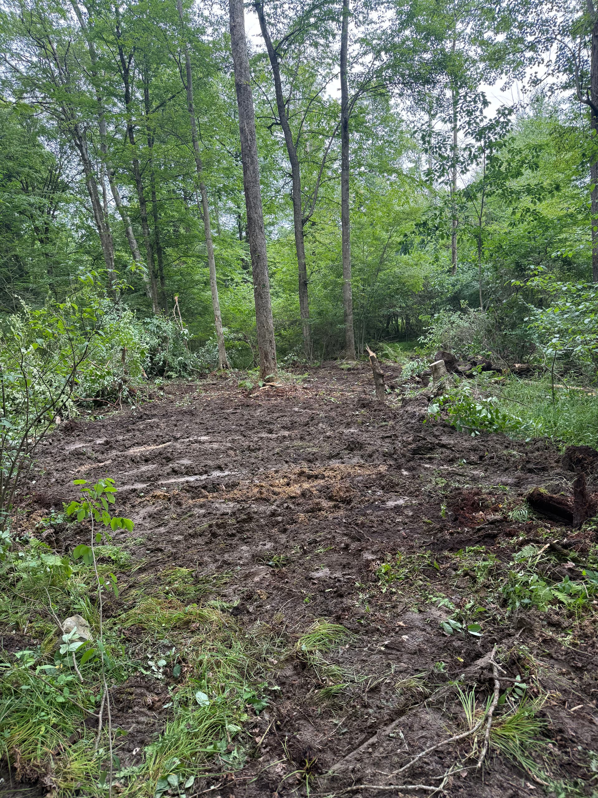 Gallery photos for Land Clearing and Wildlife Food Plot Installation Done Right: Image #5