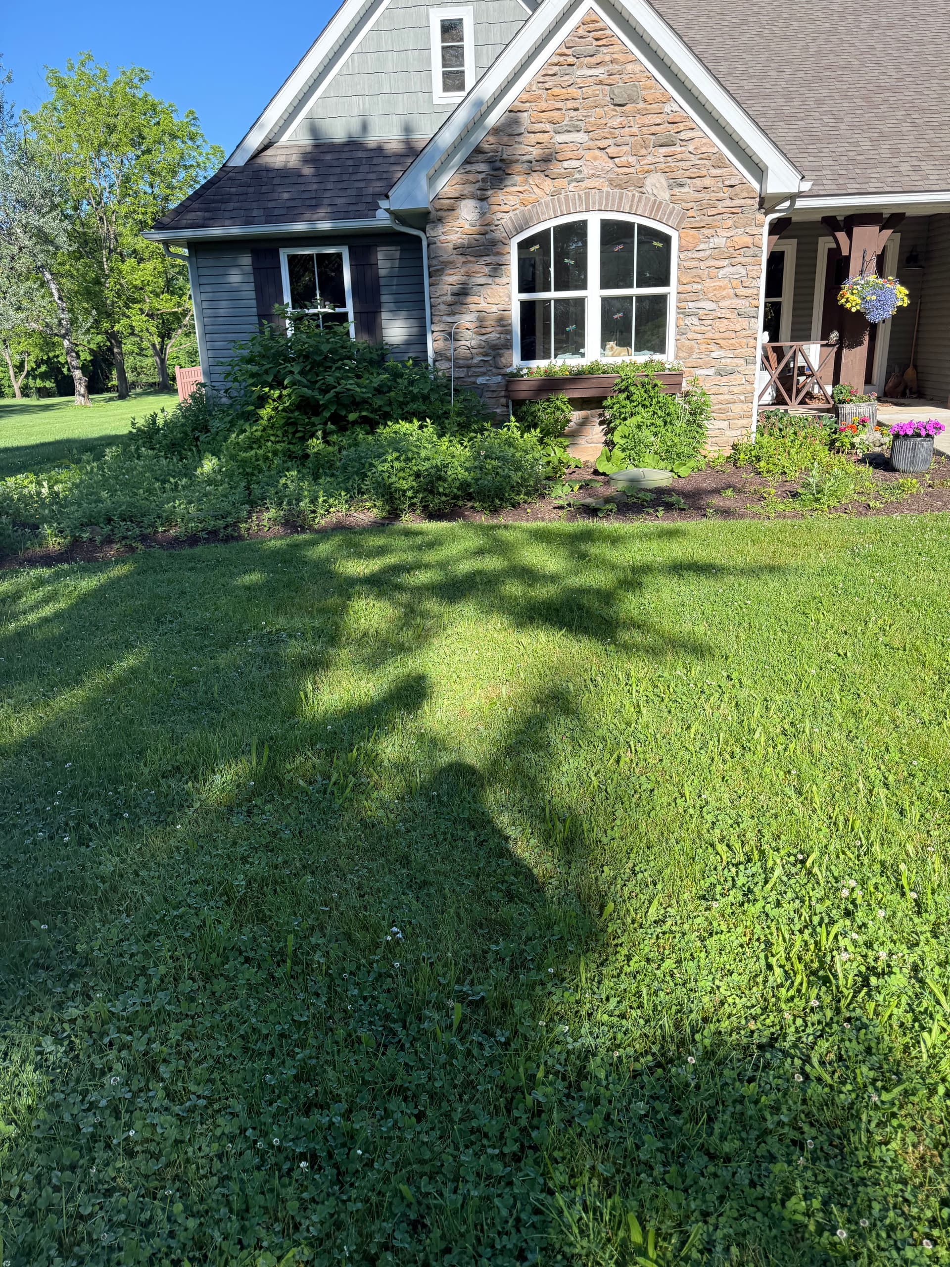 Fresh Mulch, Clean Beds, and a New Tree That Ties It All Together image