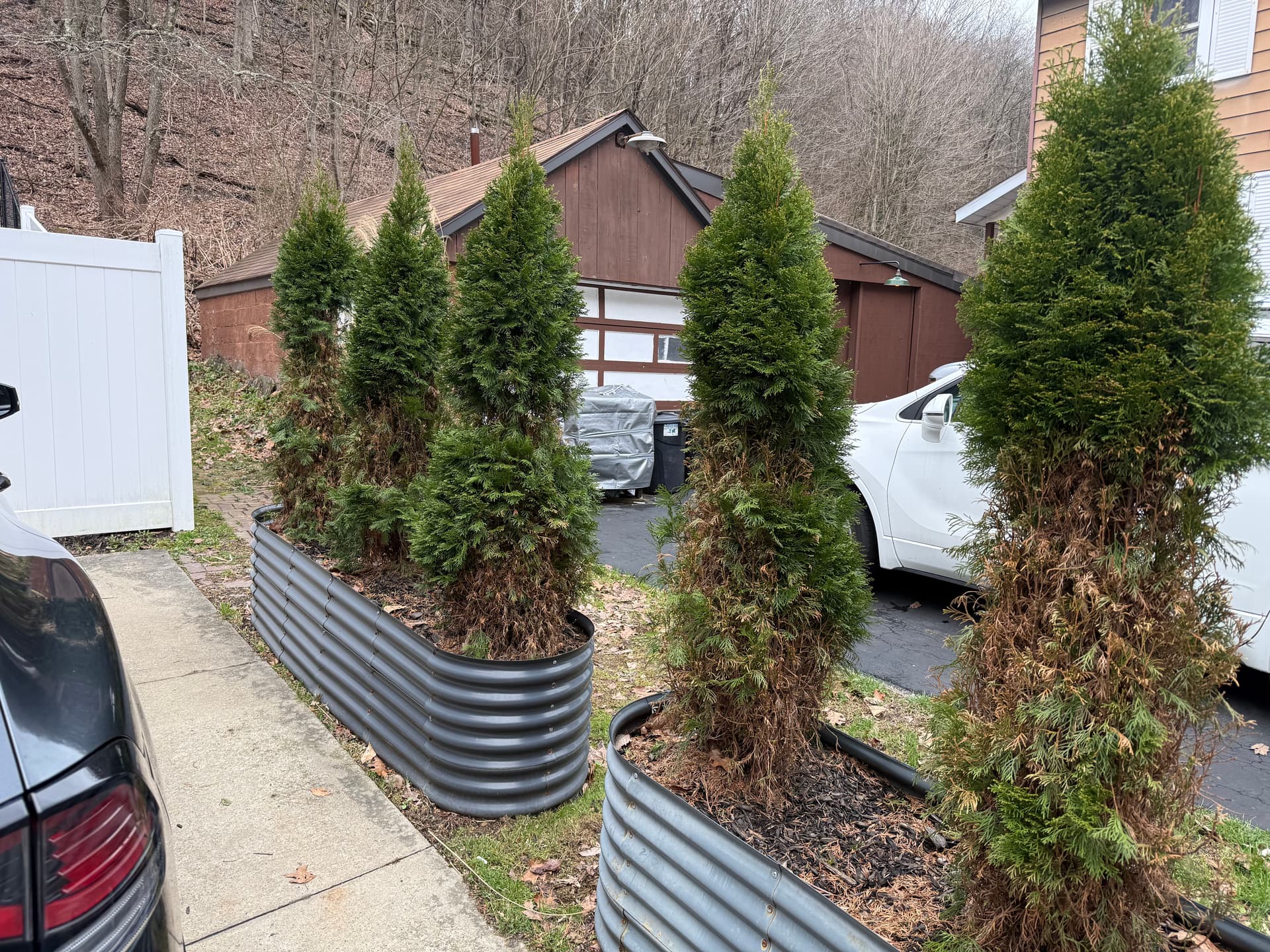 Gallery photos for Raised Bed Replant Swaps Dying Arborvitae for Low-Maintenance Color: Image #2