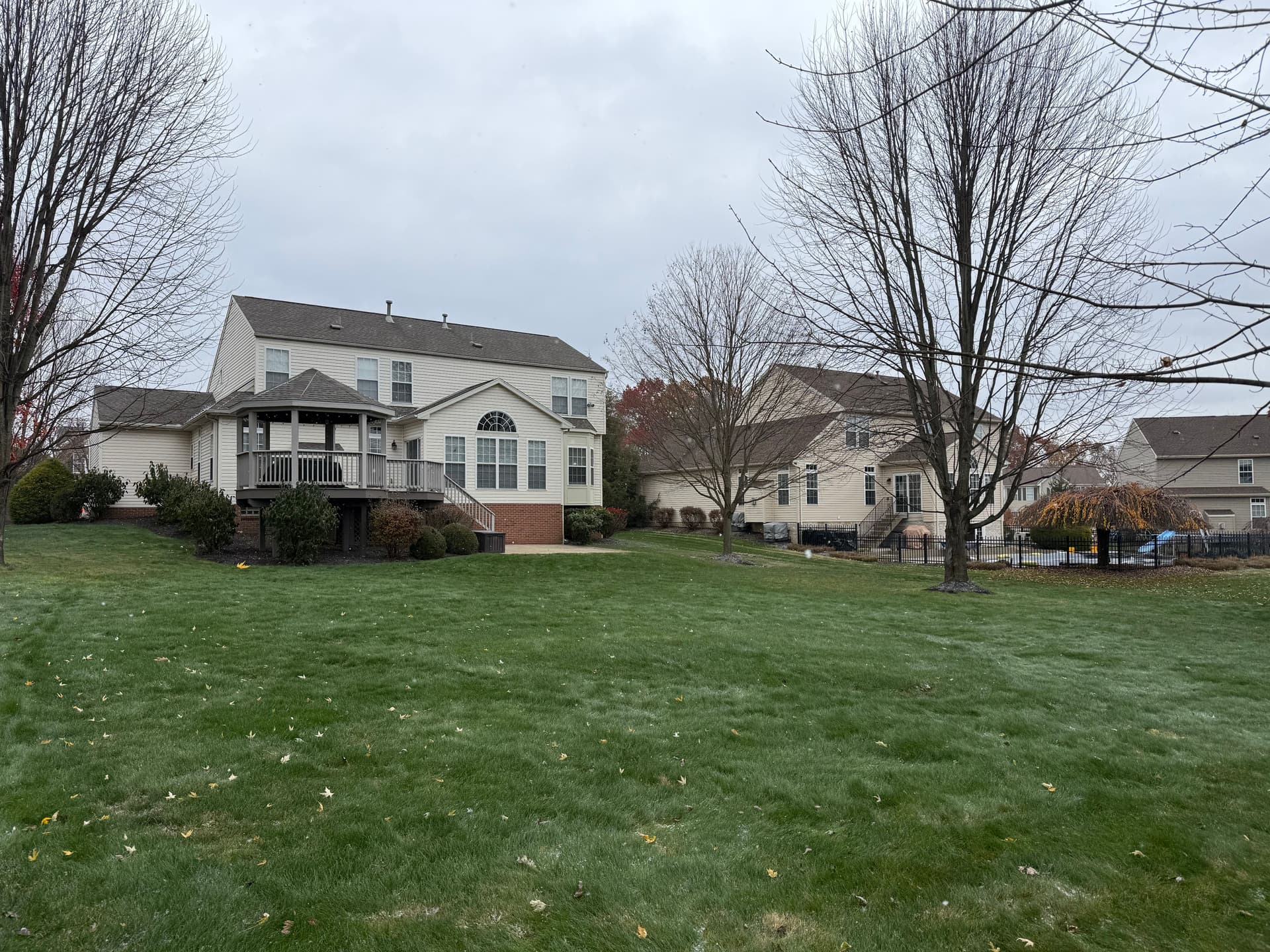 Gallery photos for Effortless Leaf Clean Up with Total Landscaping Concepts: Image #1