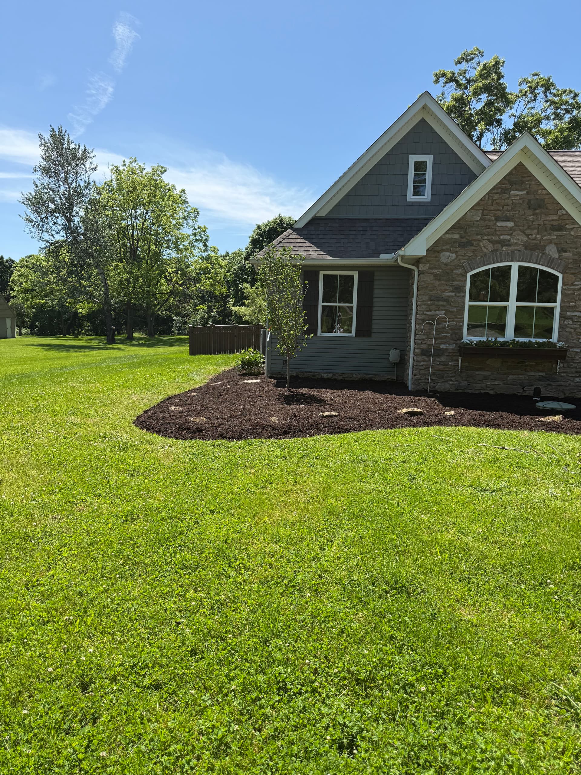 Gallery photos for Fresh Mulch, Clean Beds, and a New Tree That Ties It All Together: Image #2