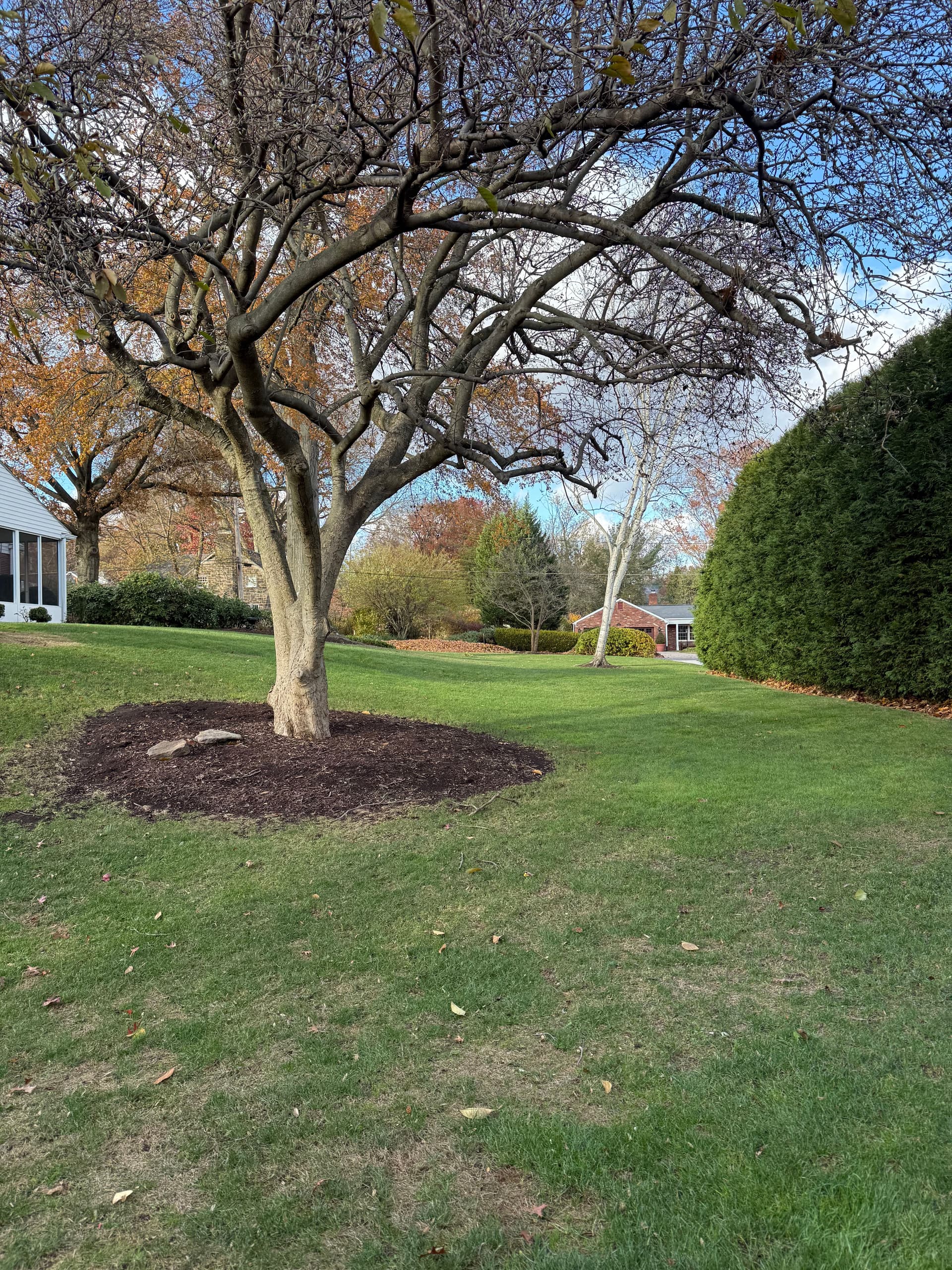 Gallery photos for Effortless Leaf Clean Up with Total Landscaping Concepts: Image #3