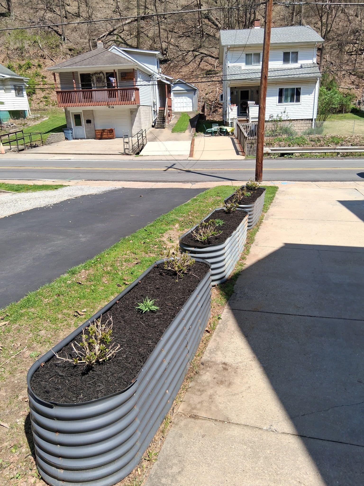 Raised Bed Replant Swaps Dying Arborvitae for Low-Maintenance Color image