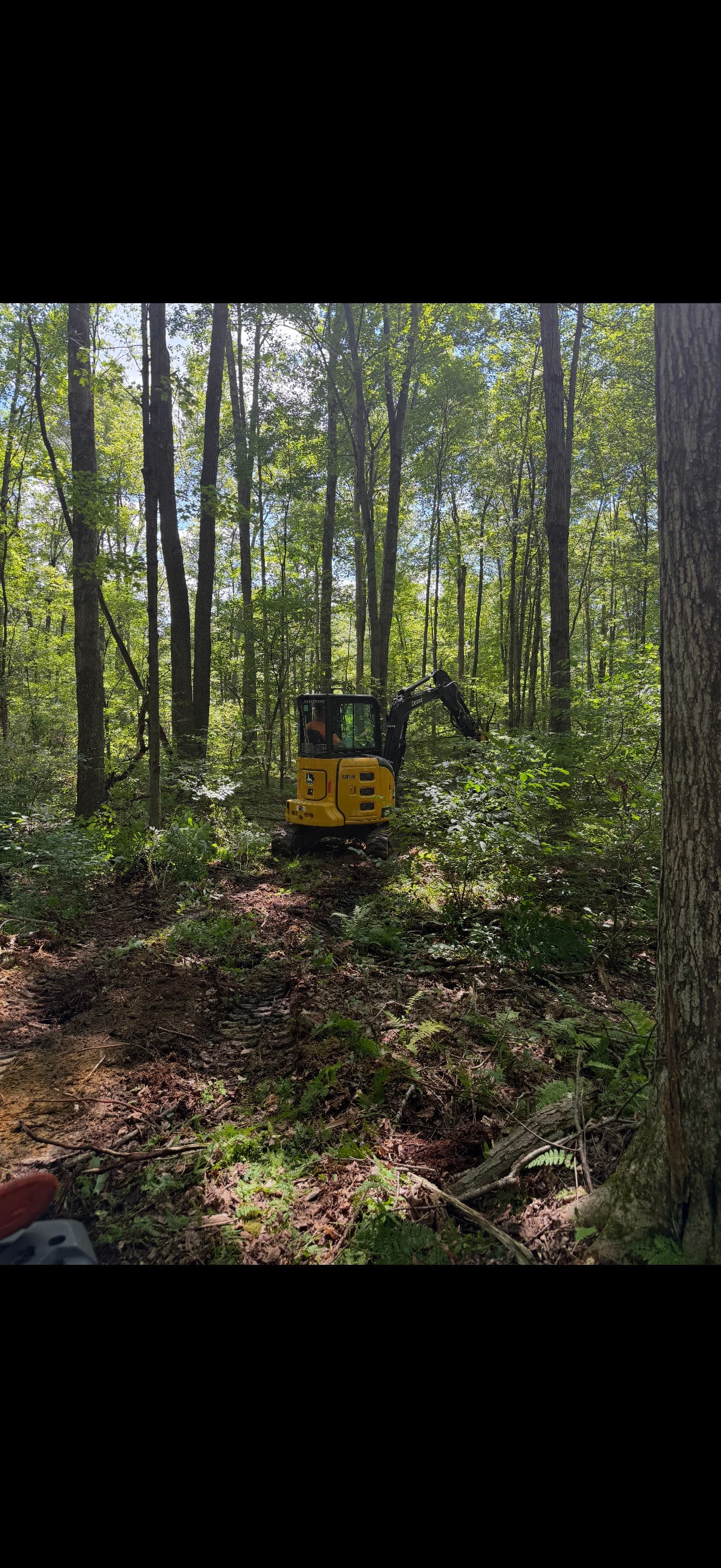 Gallery photos for Land Clearing and Wildlife Food Plot Installation Done Right: Image #1