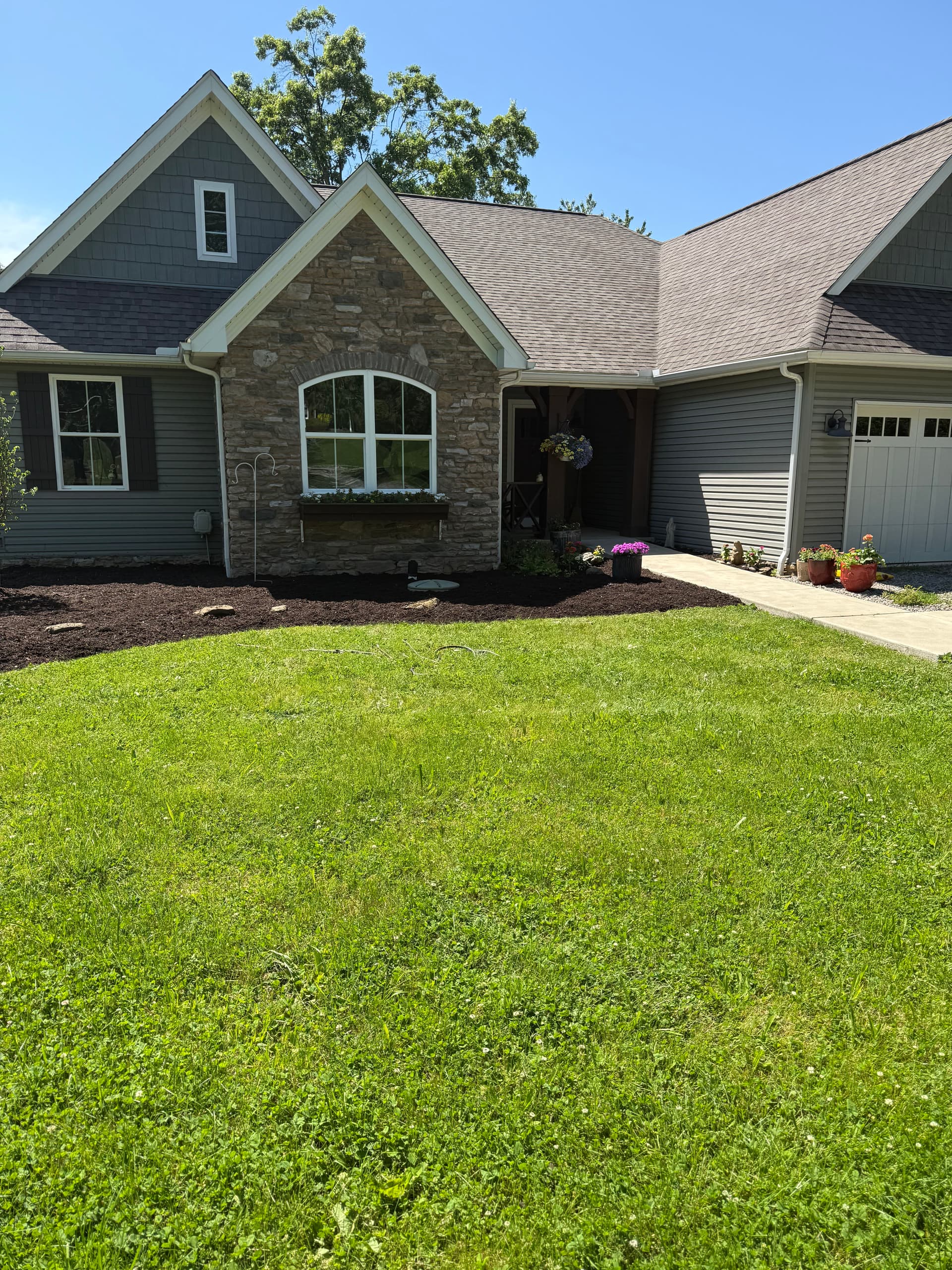Gallery photos for Fresh Mulch, Clean Beds, and a New Tree That Ties It All Together: Image #1