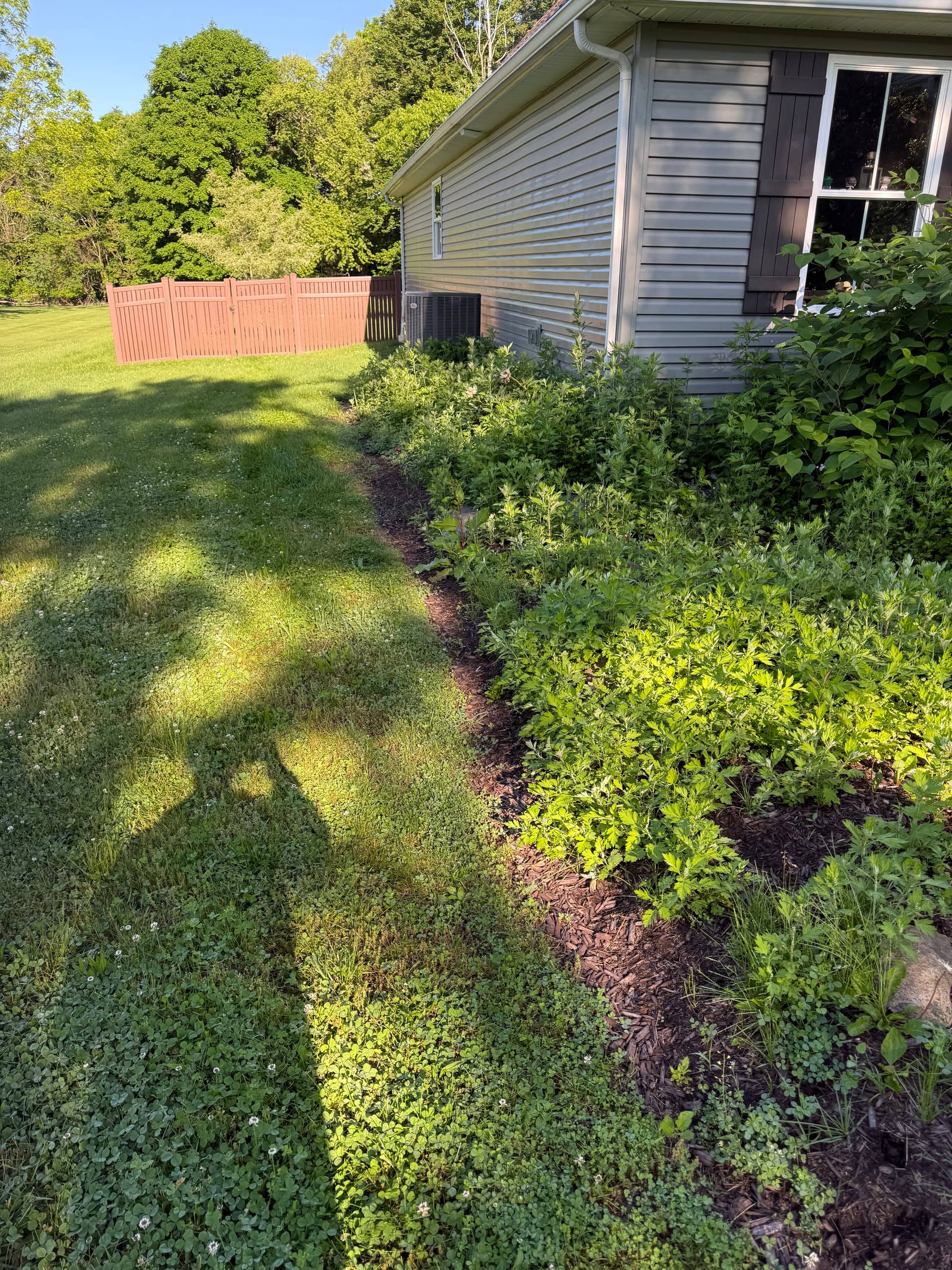 Gallery photos for Fresh Mulch, Clean Beds, and a New Tree That Ties It All Together: Image #3