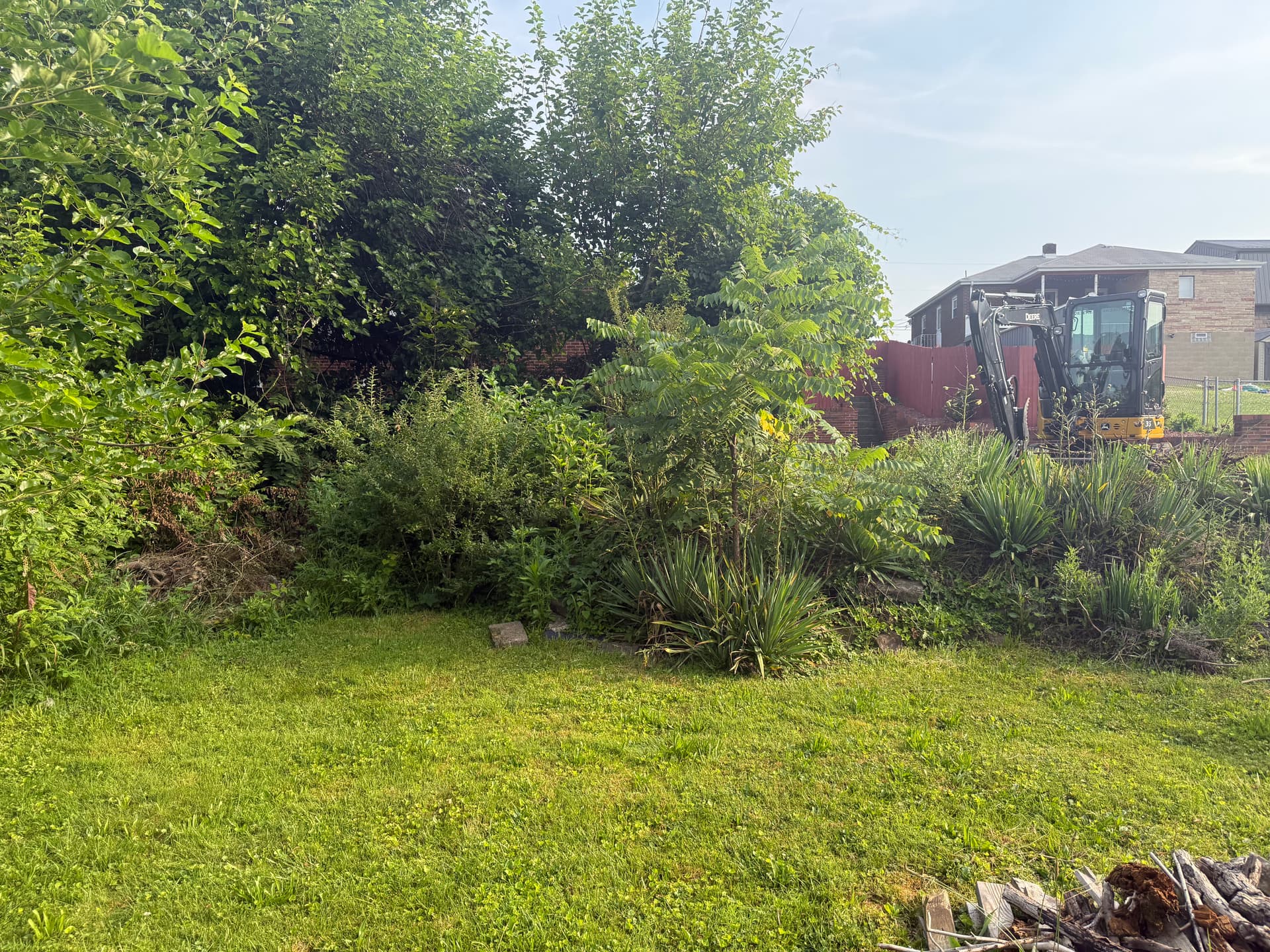 Gallery photos for Overgrown Backyard Cleared Down to Clean, Open Ground: Image #1