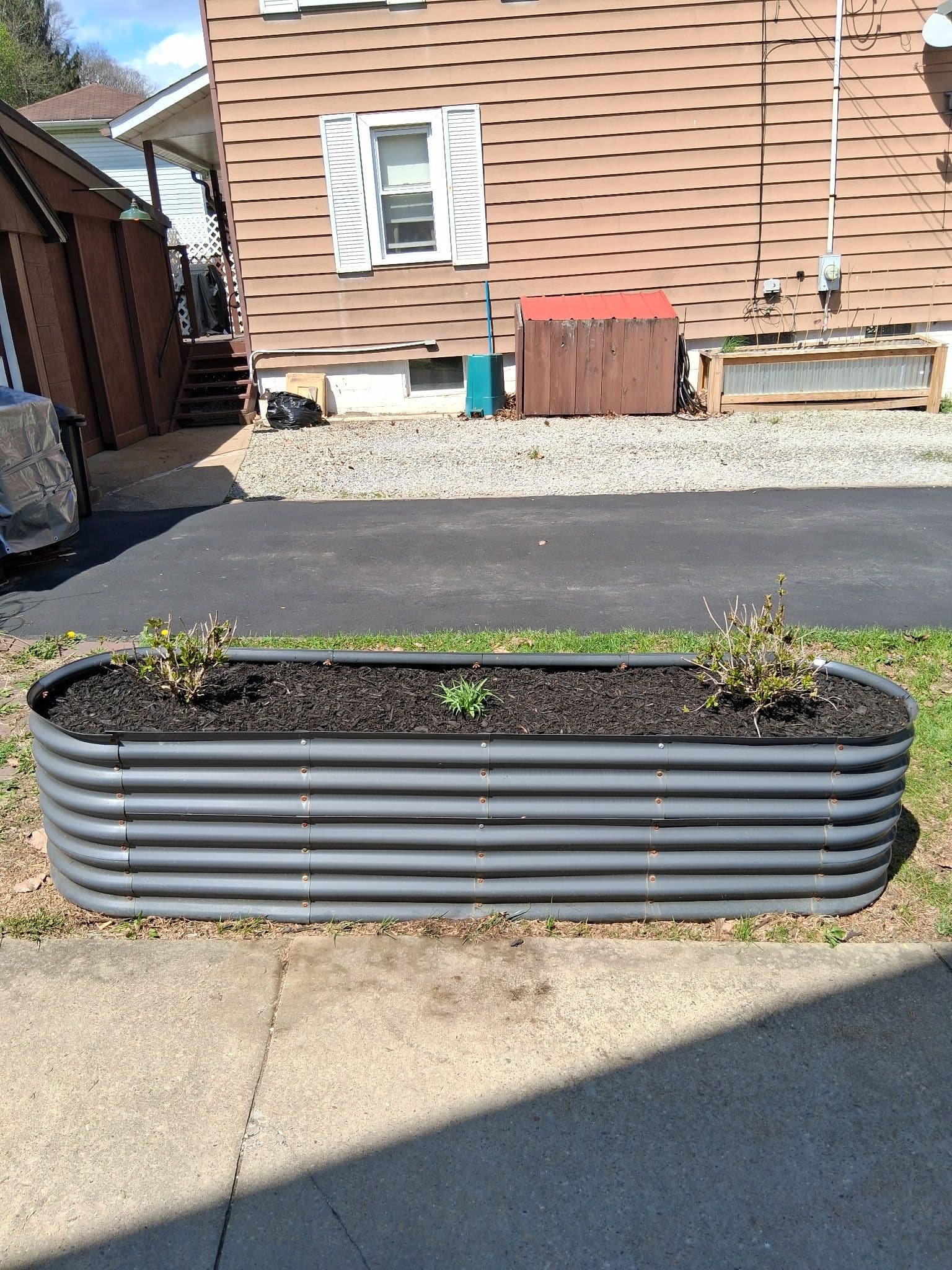 Gallery photos for Raised Bed Replant Swaps Dying Arborvitae for Low-Maintenance Color: Image #1